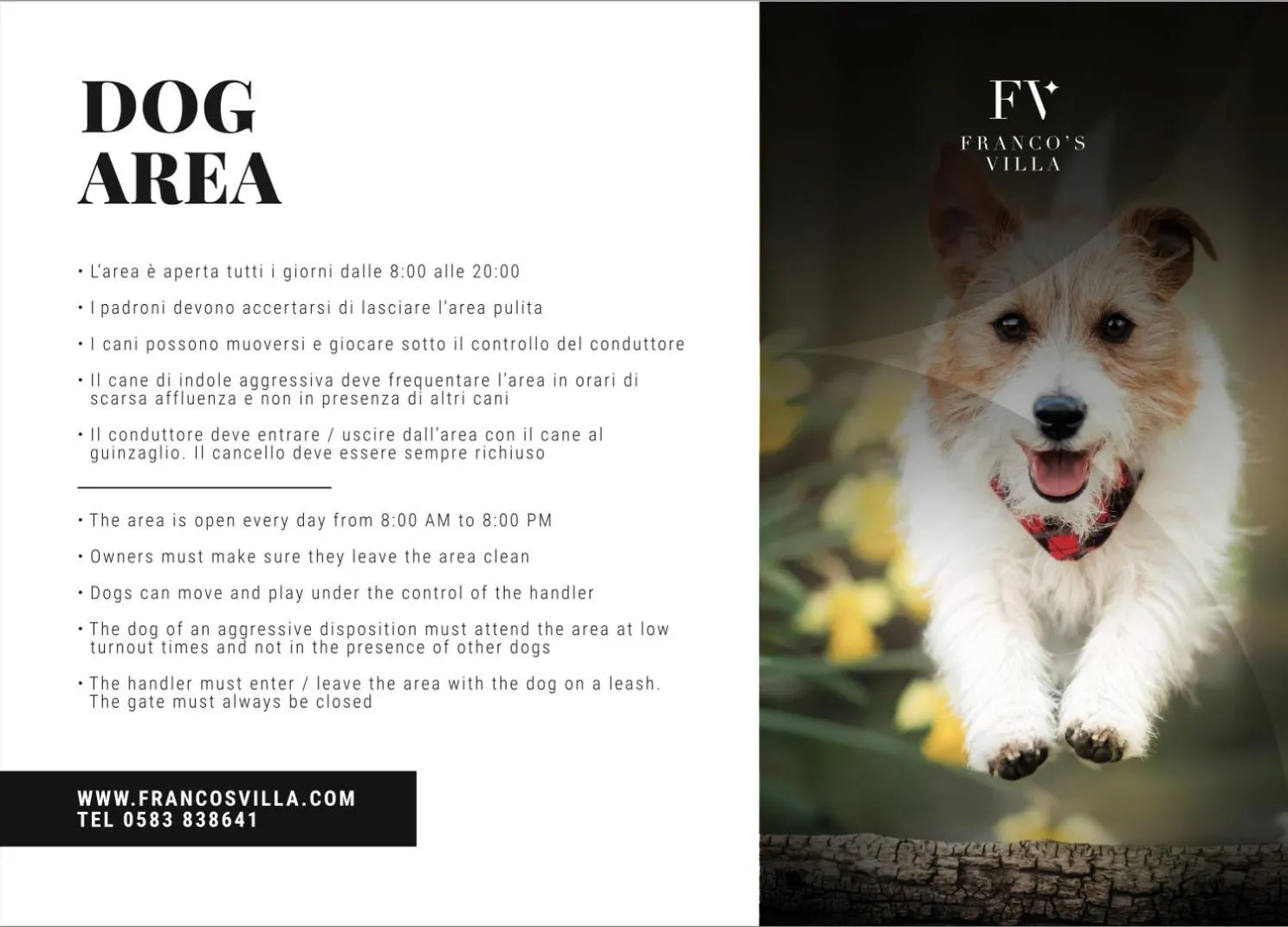 Pets in Lucca Franco's Villa