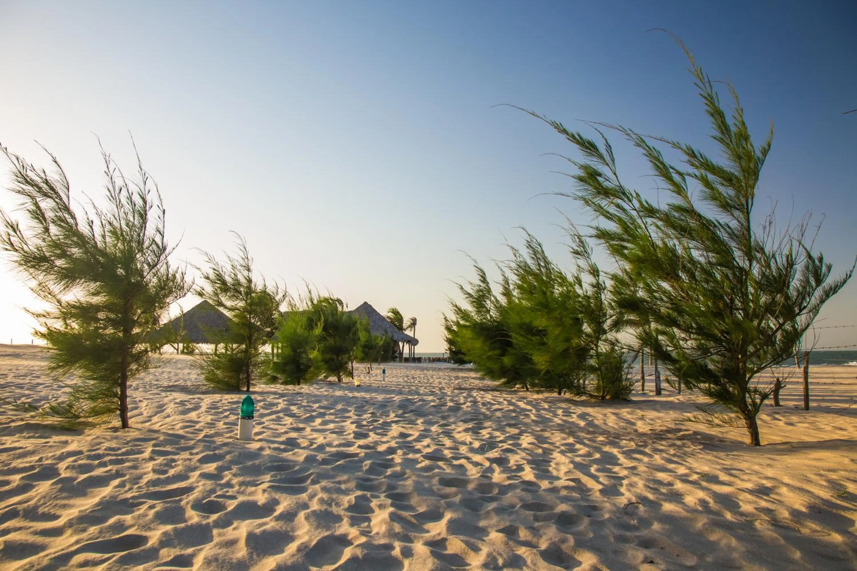 Natural landscape in Villa del Mar Praia Hotel