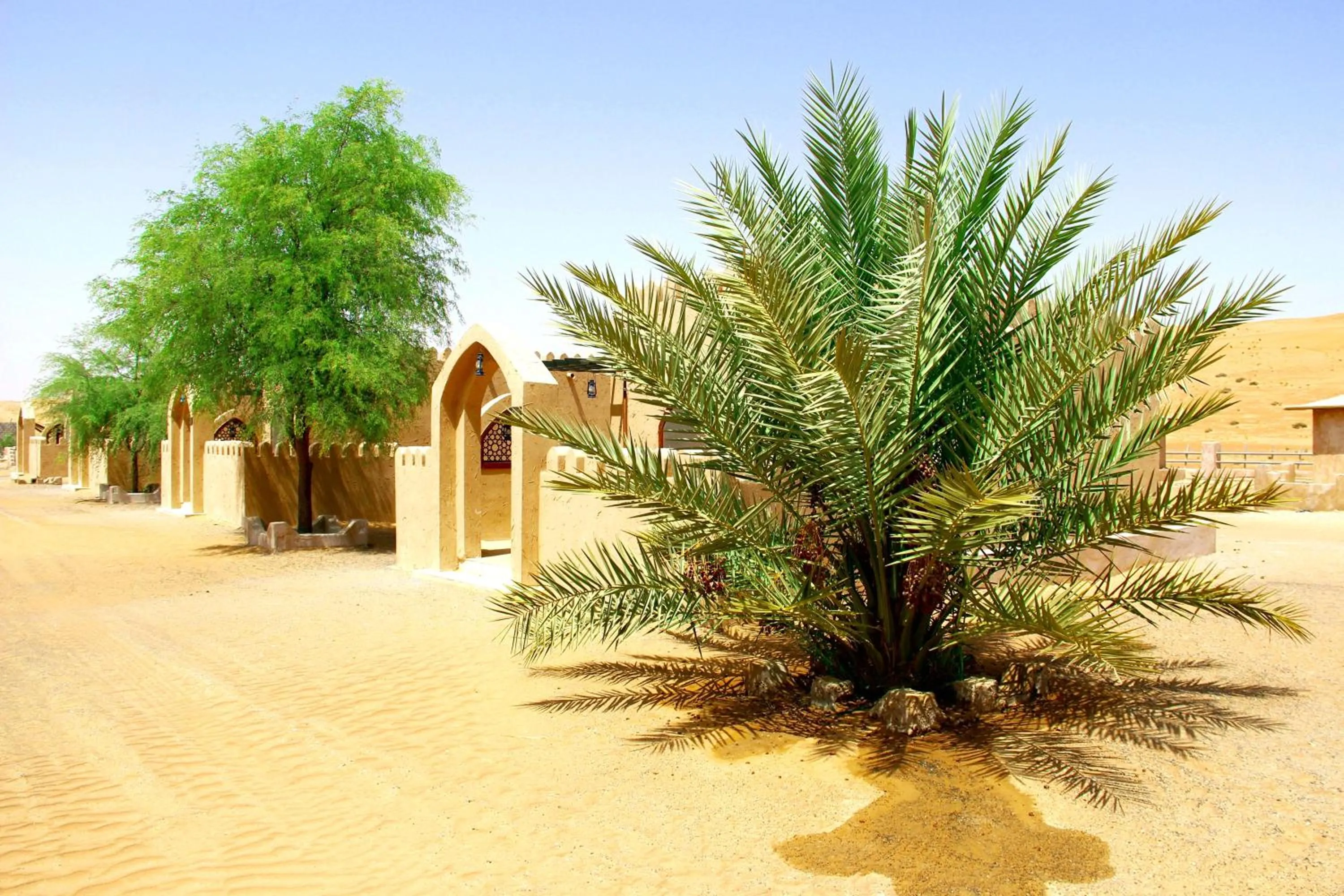 View (from property/room) in Arabian Oryx Camp