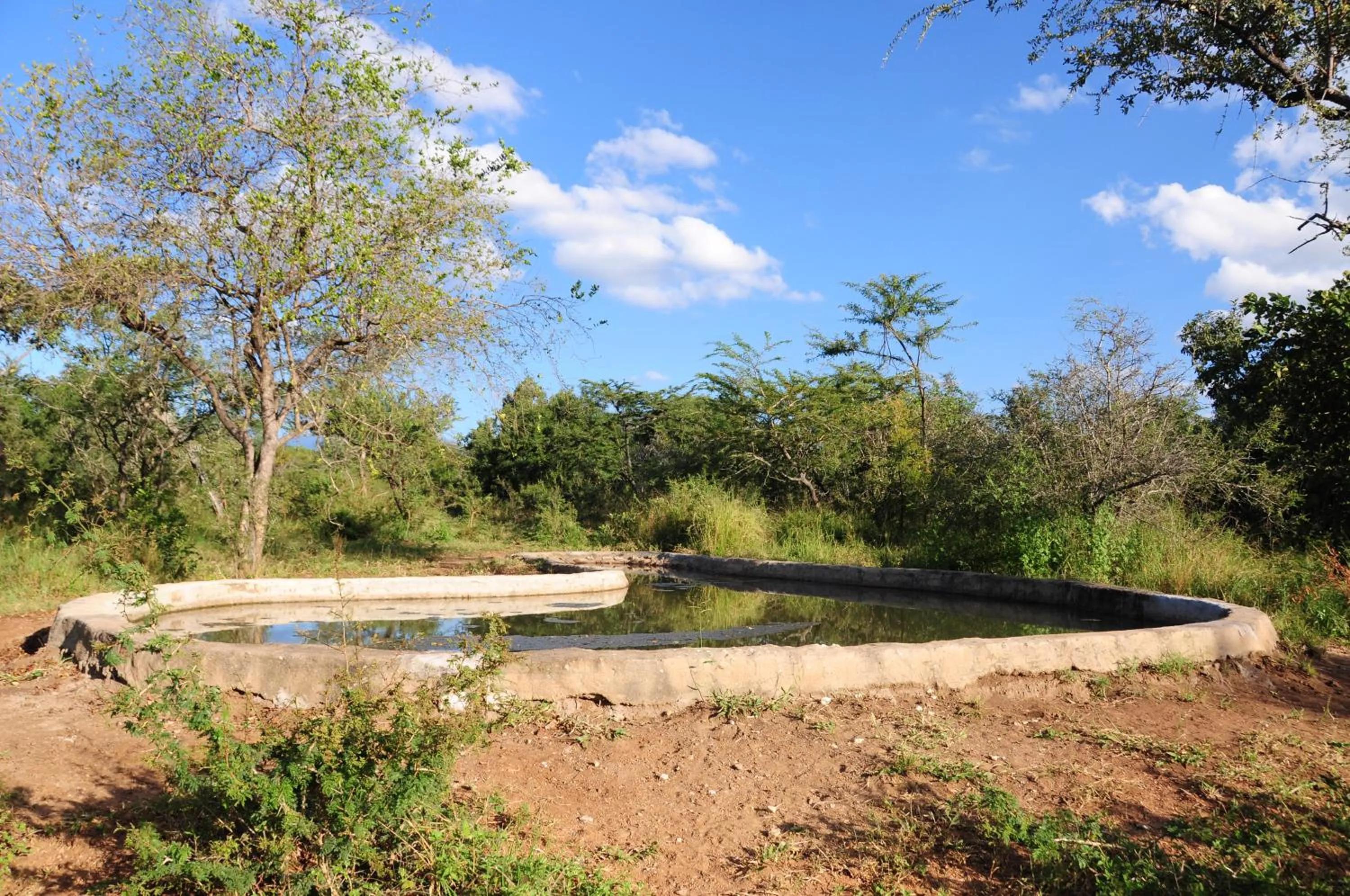 Natural landscape in Panzi Lodge