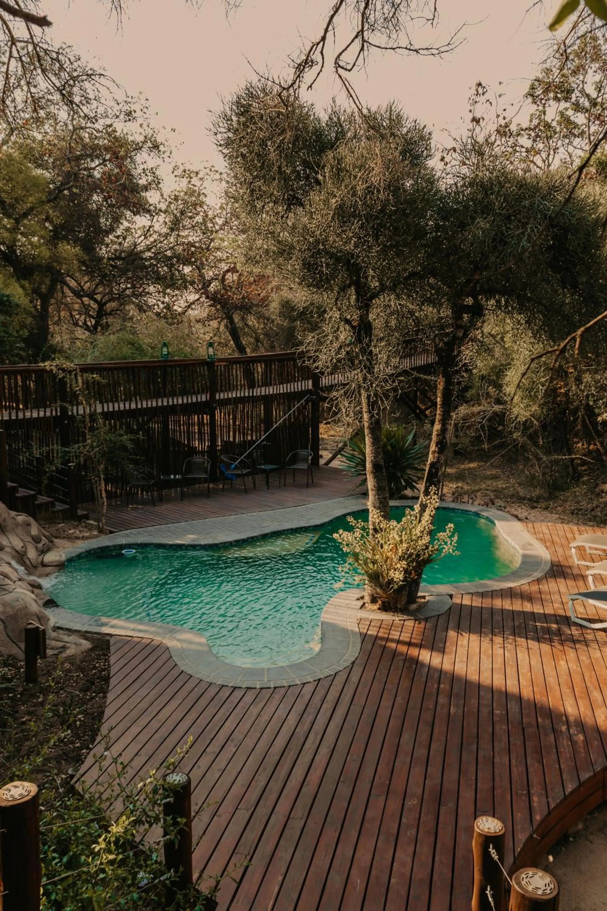 Swimming pool in Panzi Lodge