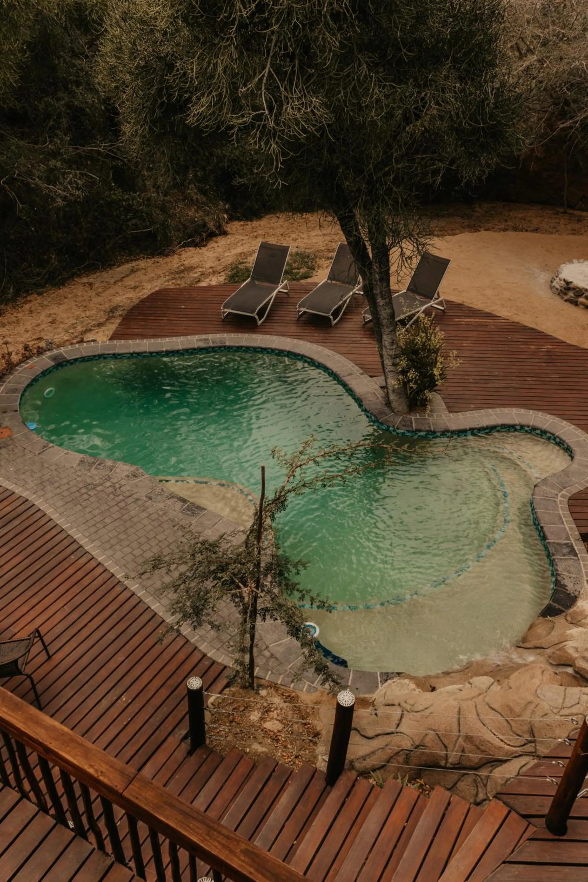 Swimming pool in Panzi Lodge
