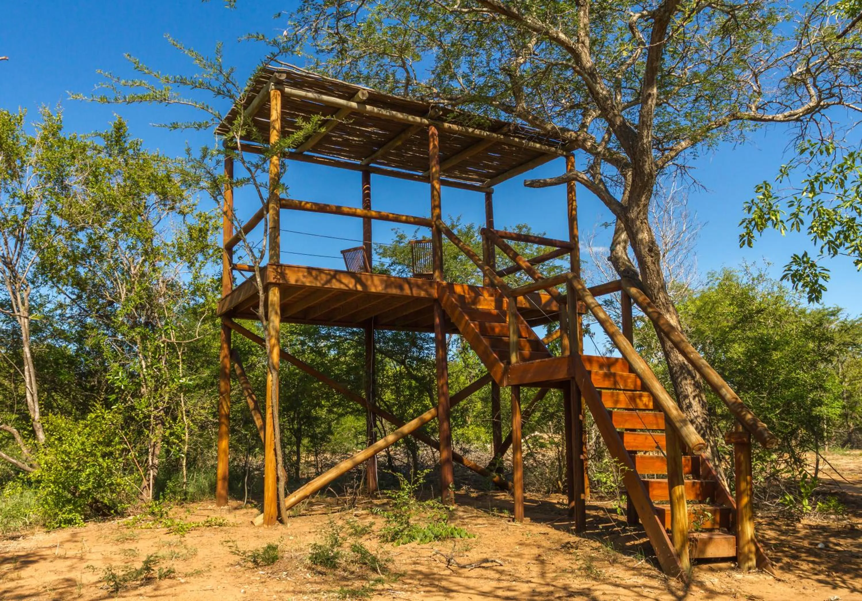 Garden in Panzi Lodge