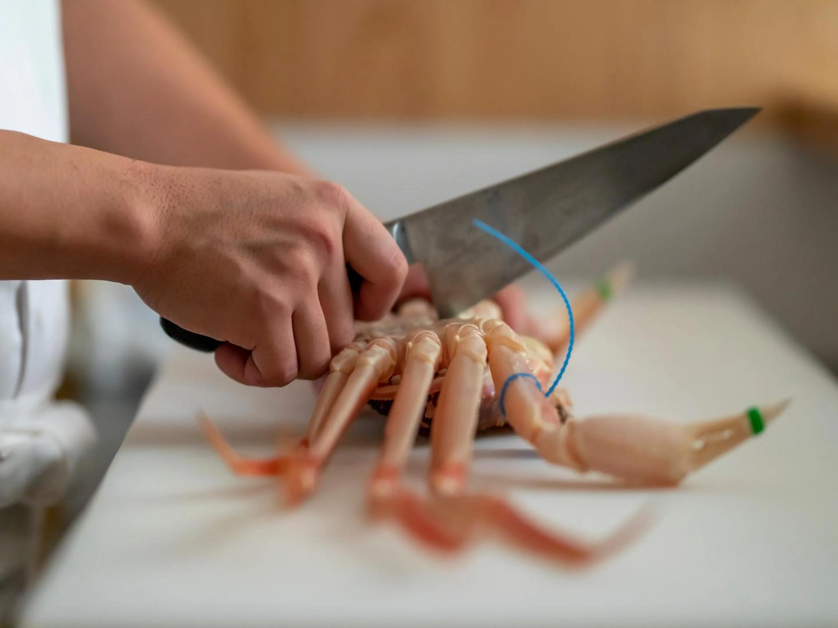 Food close-up in Sensui