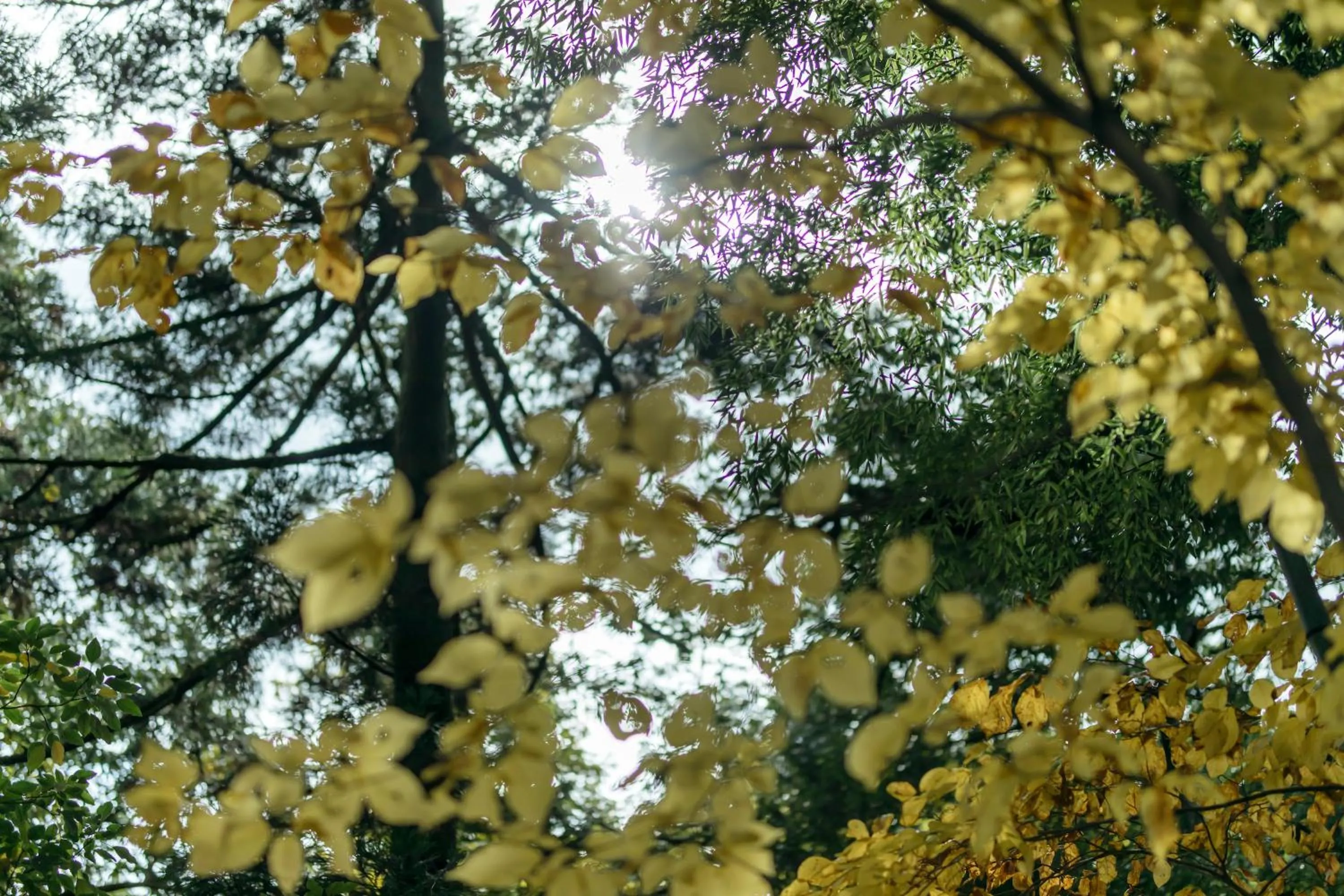 Natural landscape in Sensui