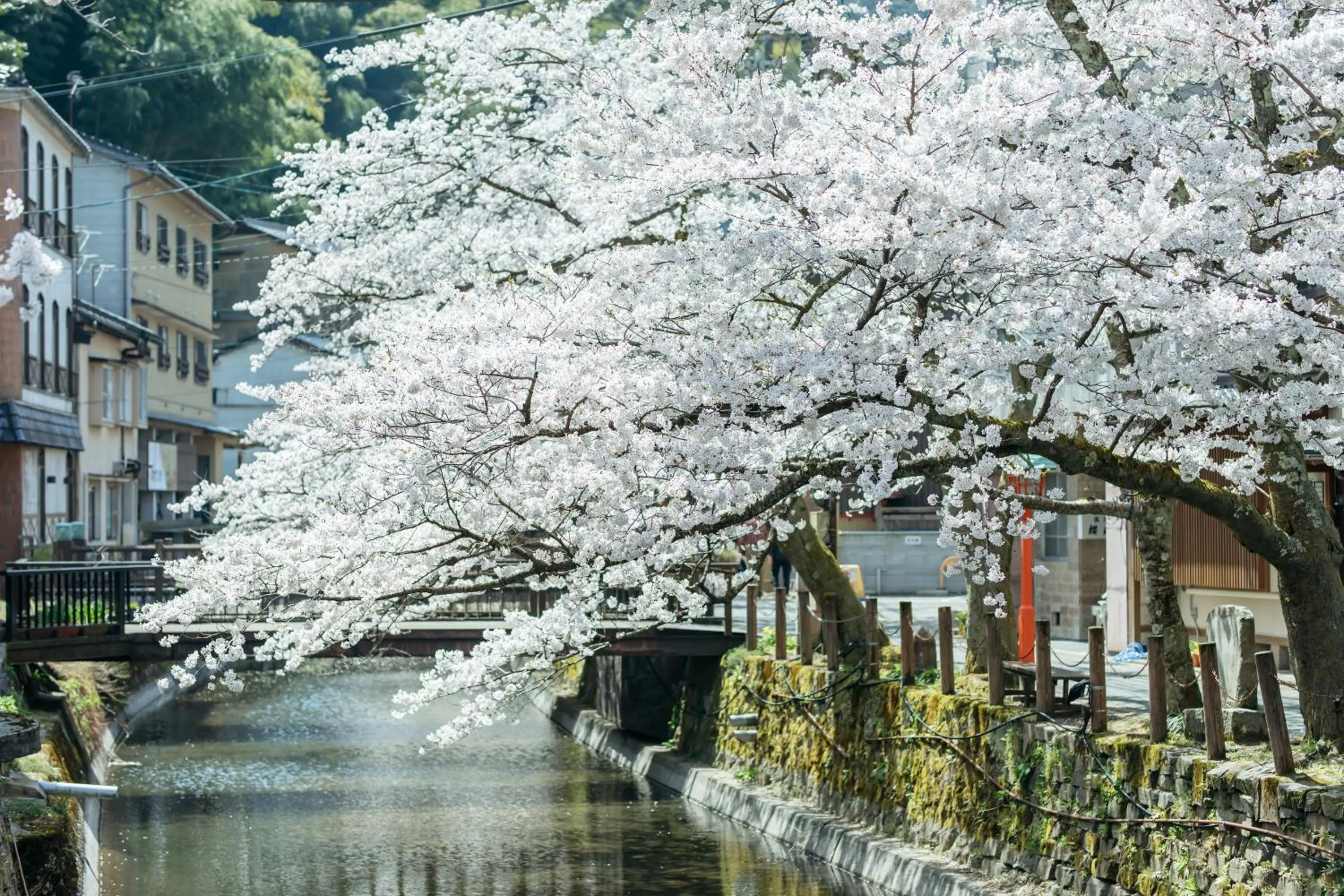 Nearby landmark in Sensui