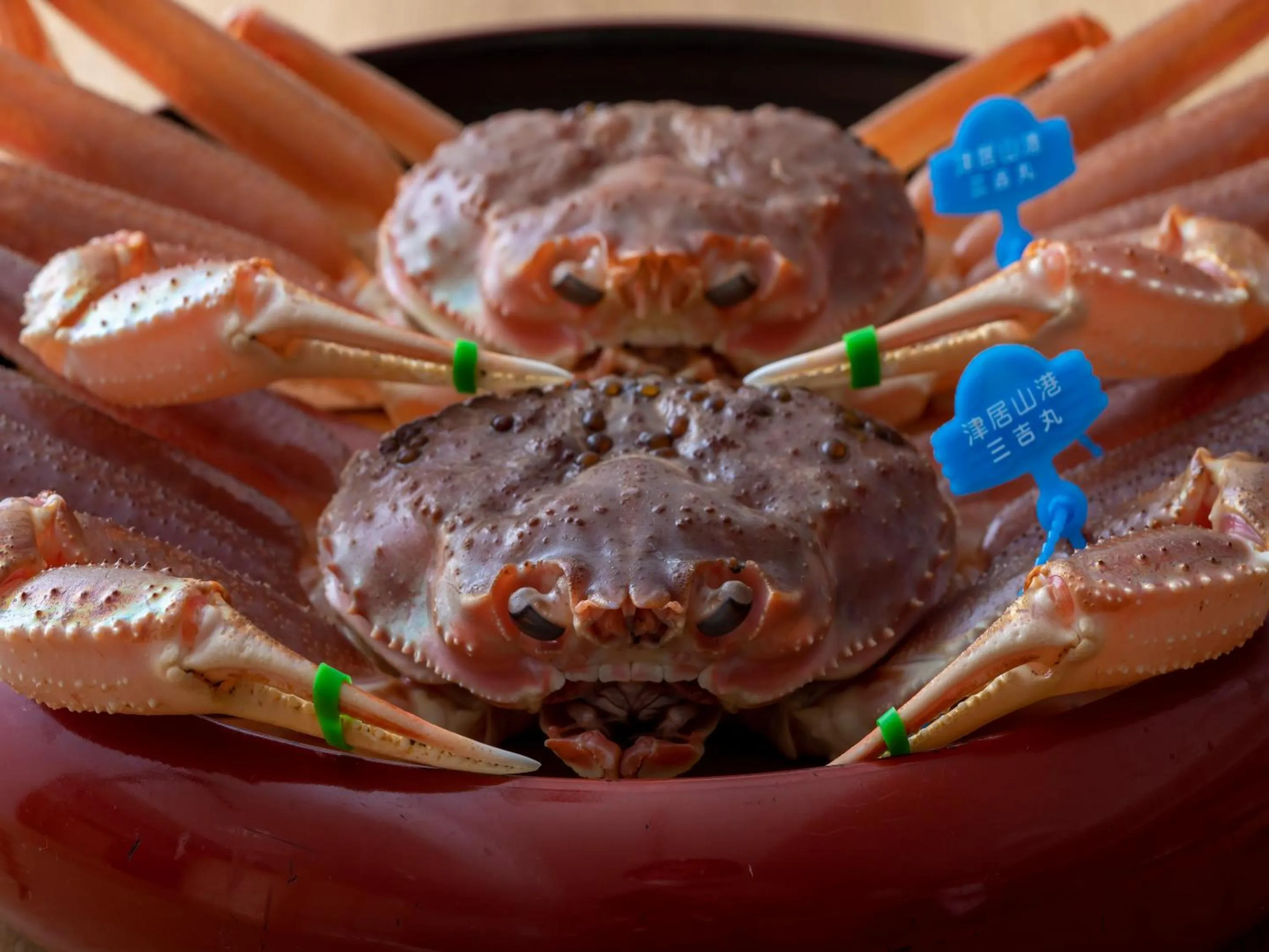 Food and drinks in Sensui