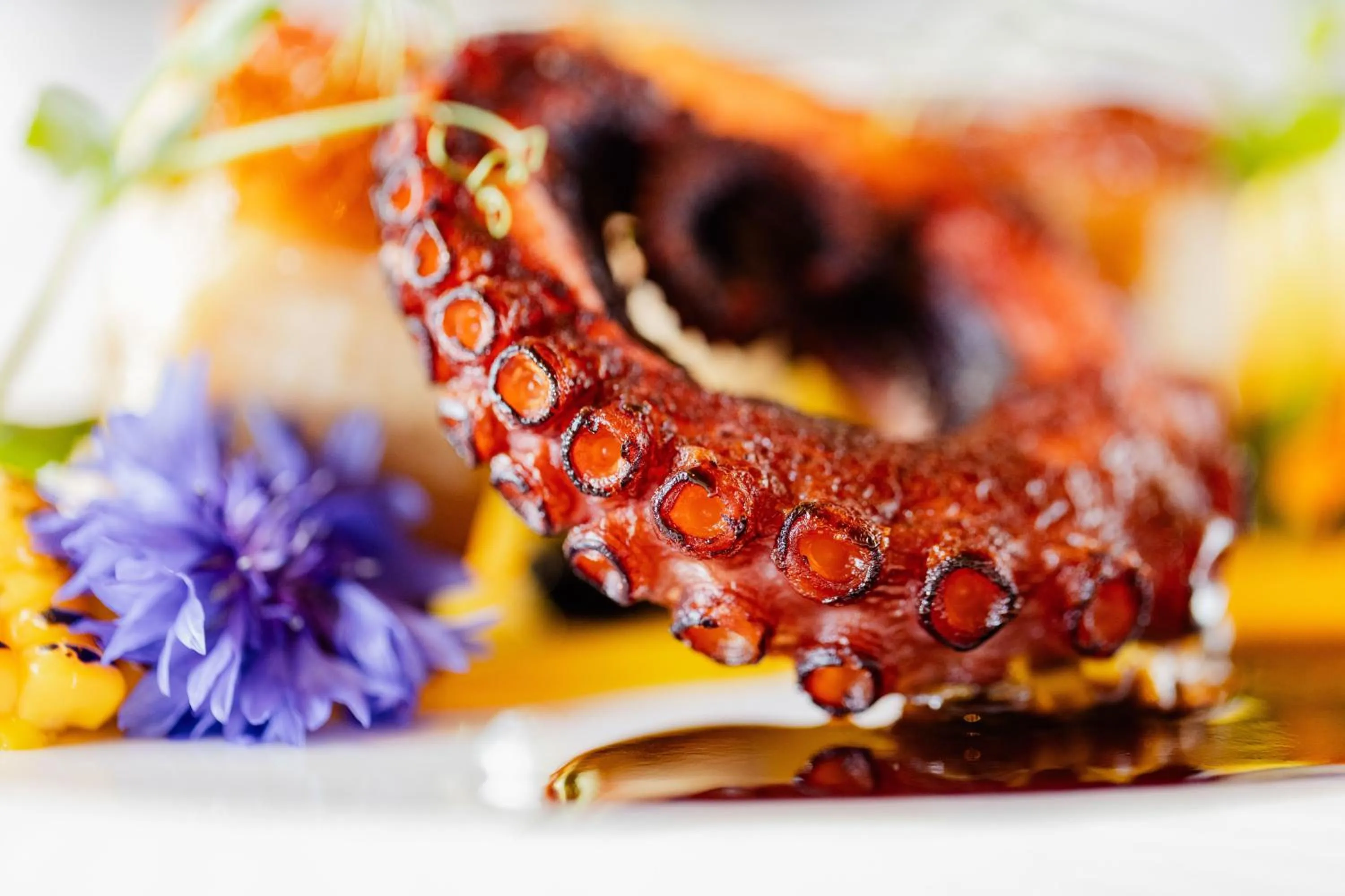 Restaurant/places to eat in Hotel Caraleon