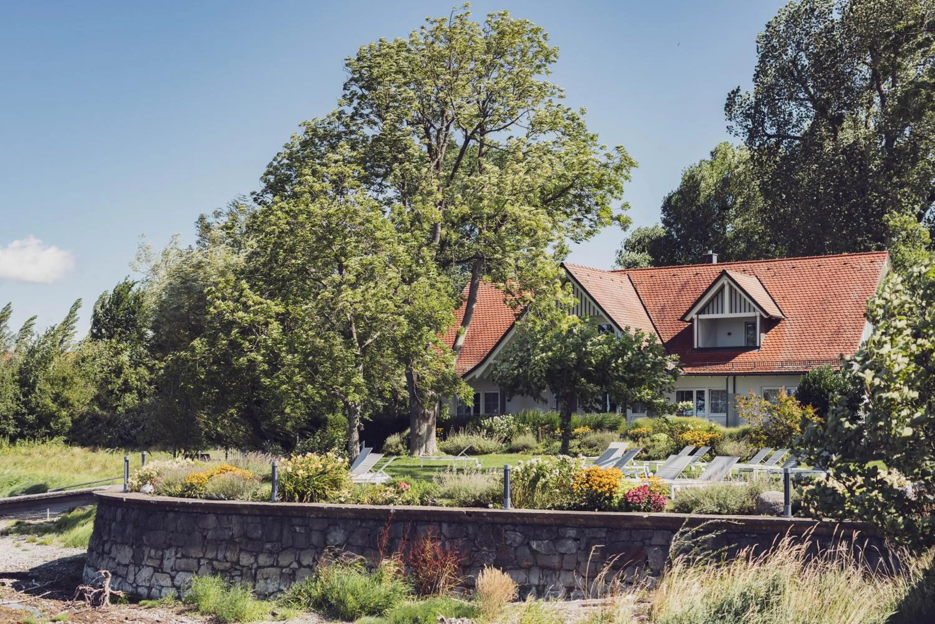 Garden in Hotel Caraleon