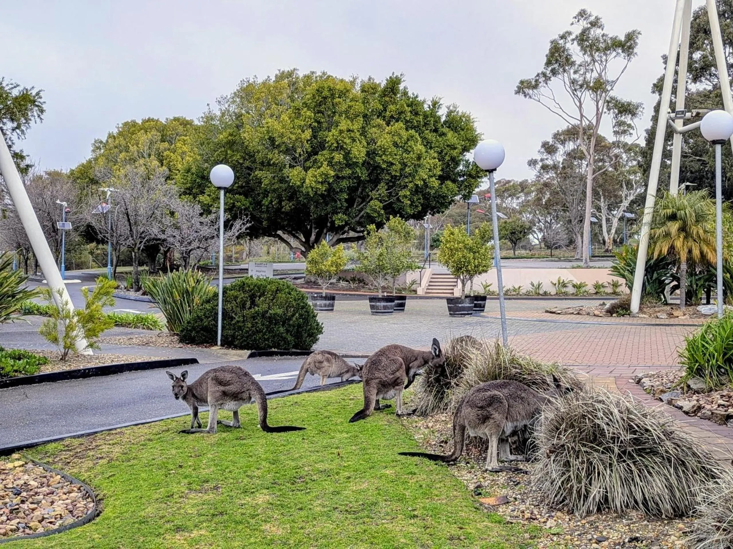 Animals in BreakFree Wirrina Cove