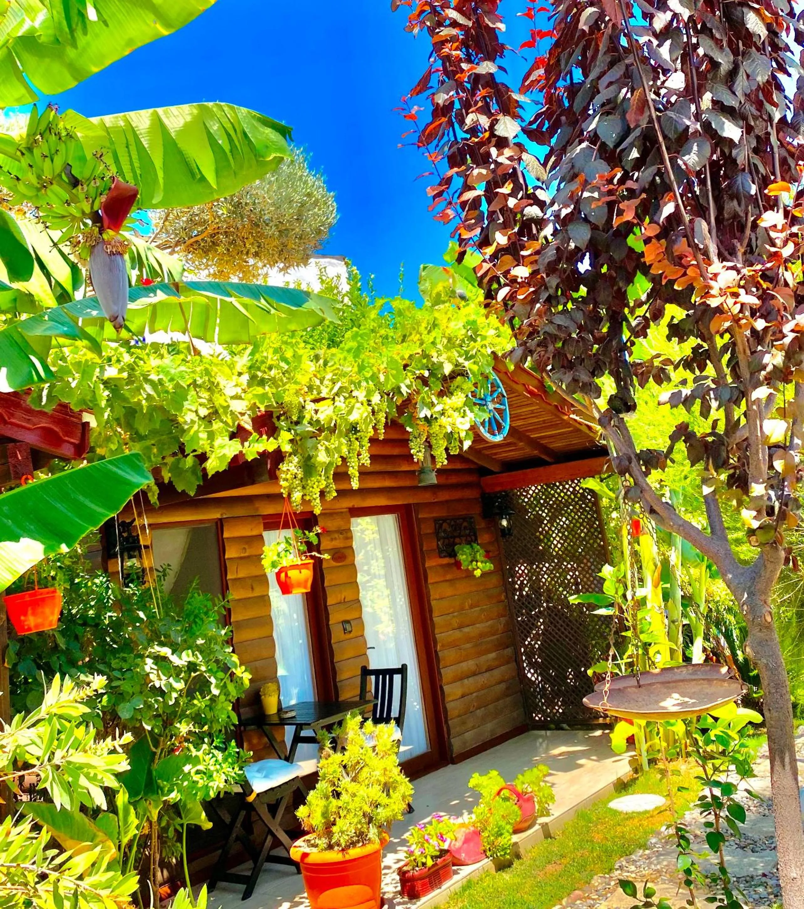 Garden in Alacati Kayezta Hotel