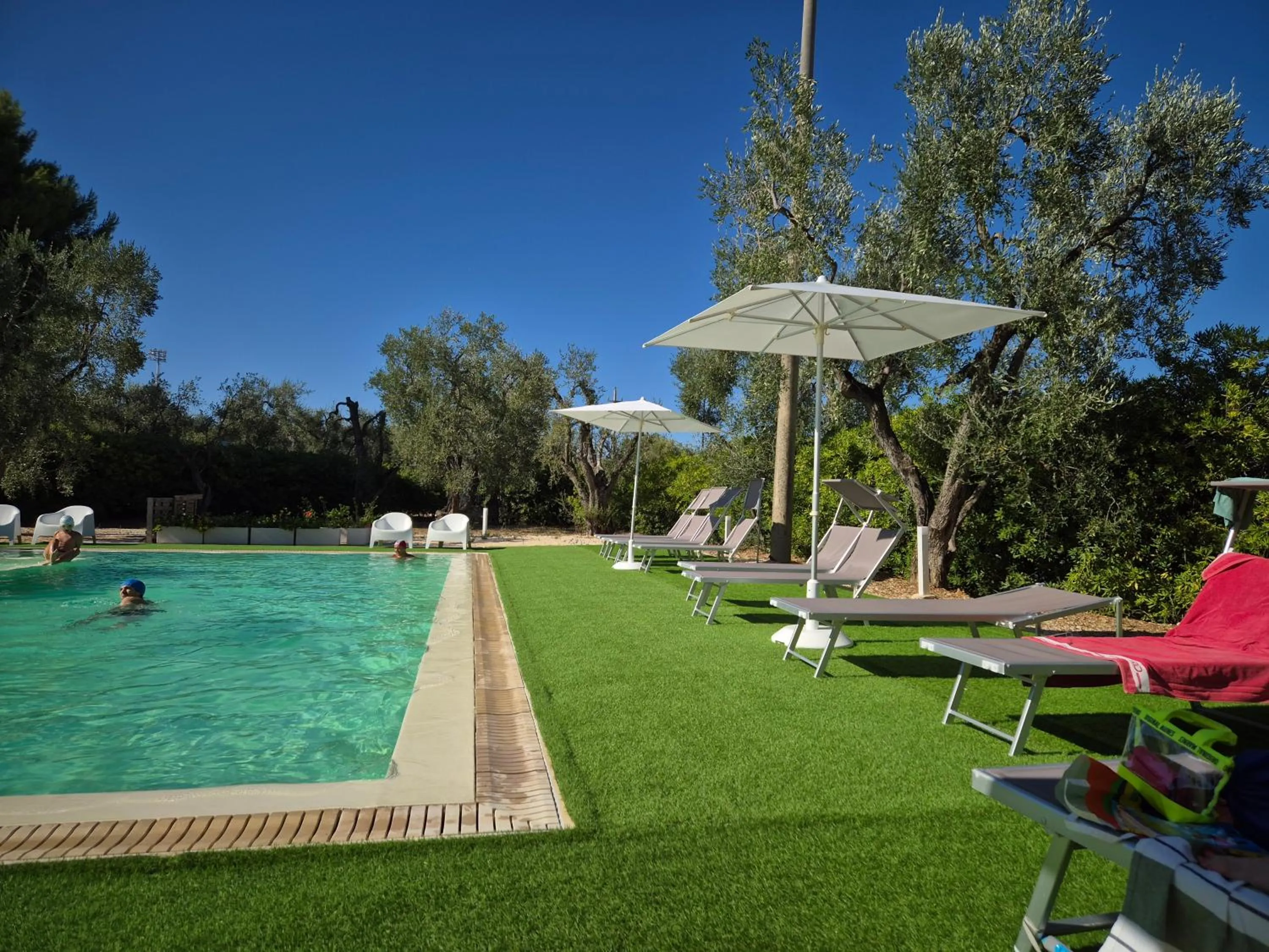 Swimming pool in Residence Alba