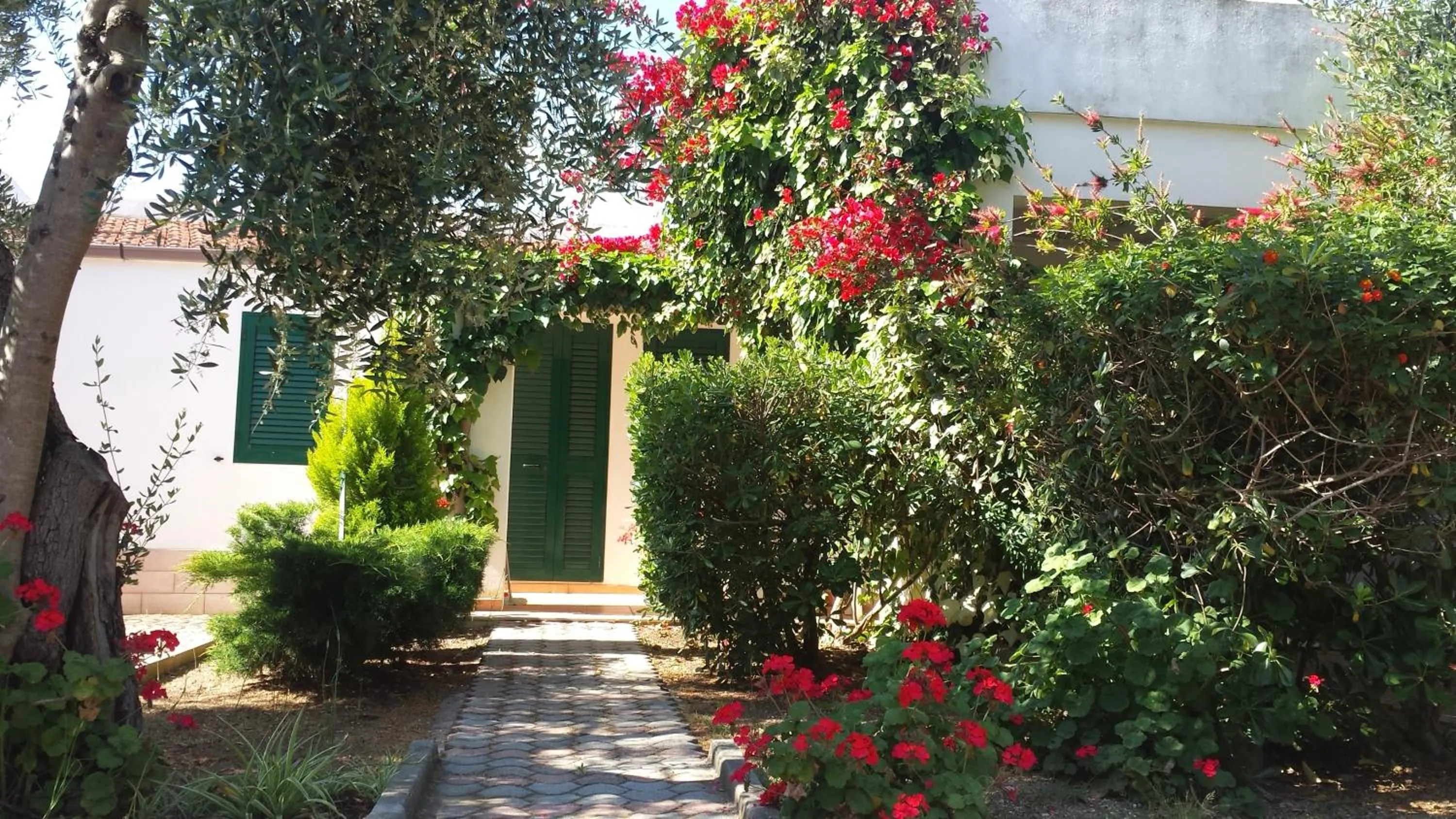 Property building in Residence Alba