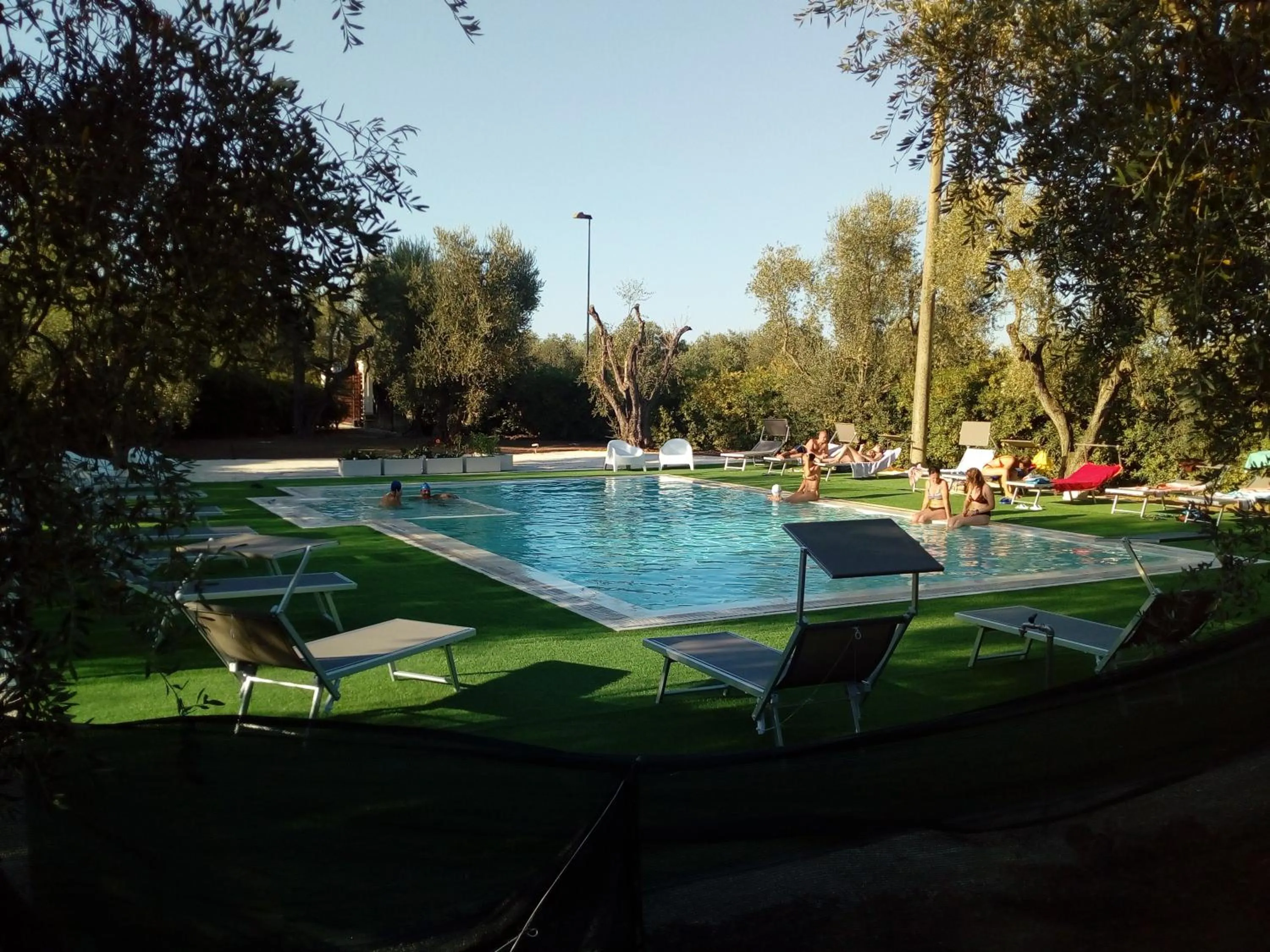 Swimming pool in Residence Alba