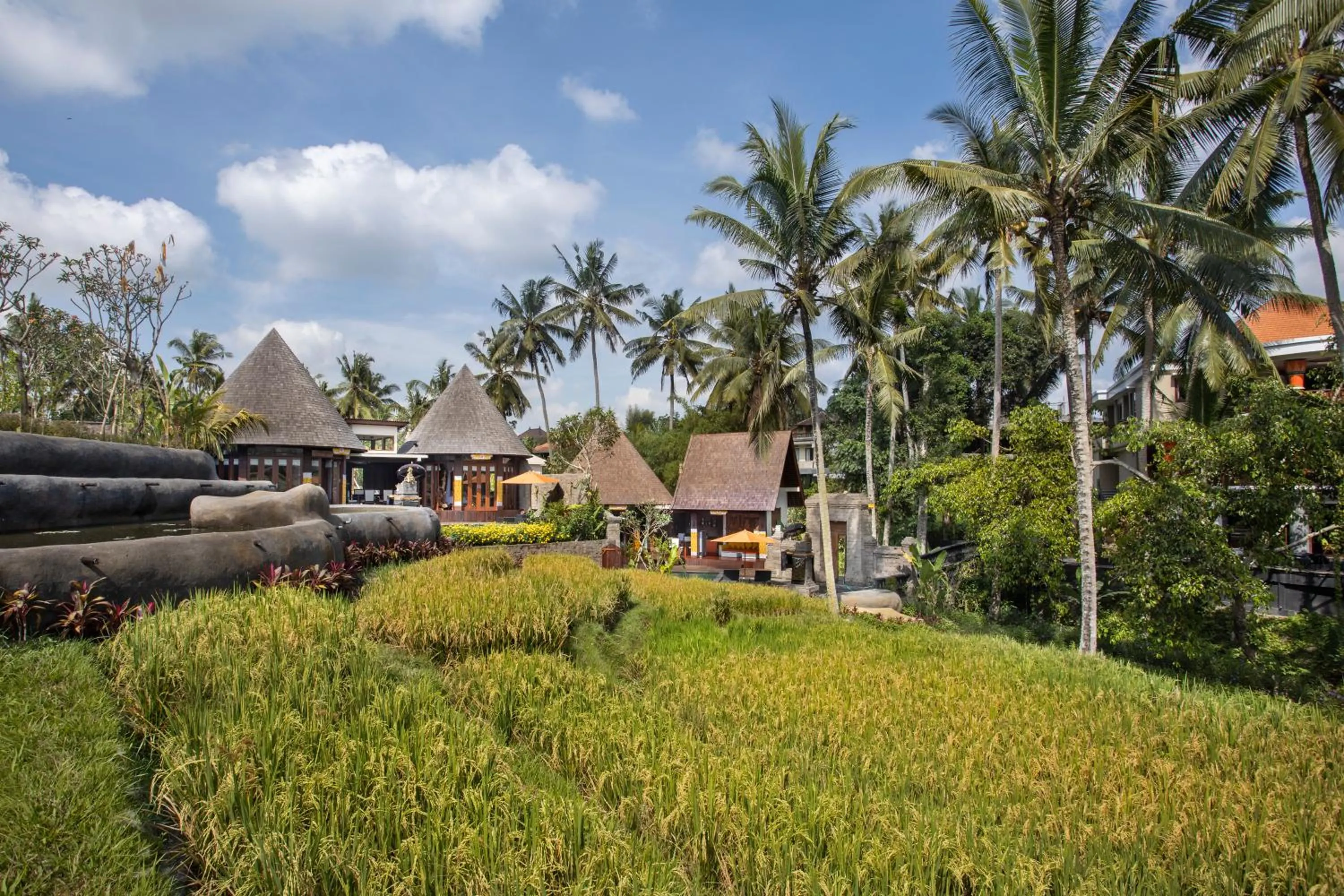 Property building in Green Field Resort Ubud