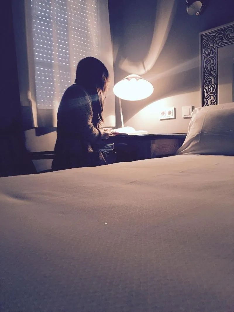 Seating area, Bed in Hostal Los Castañuelos