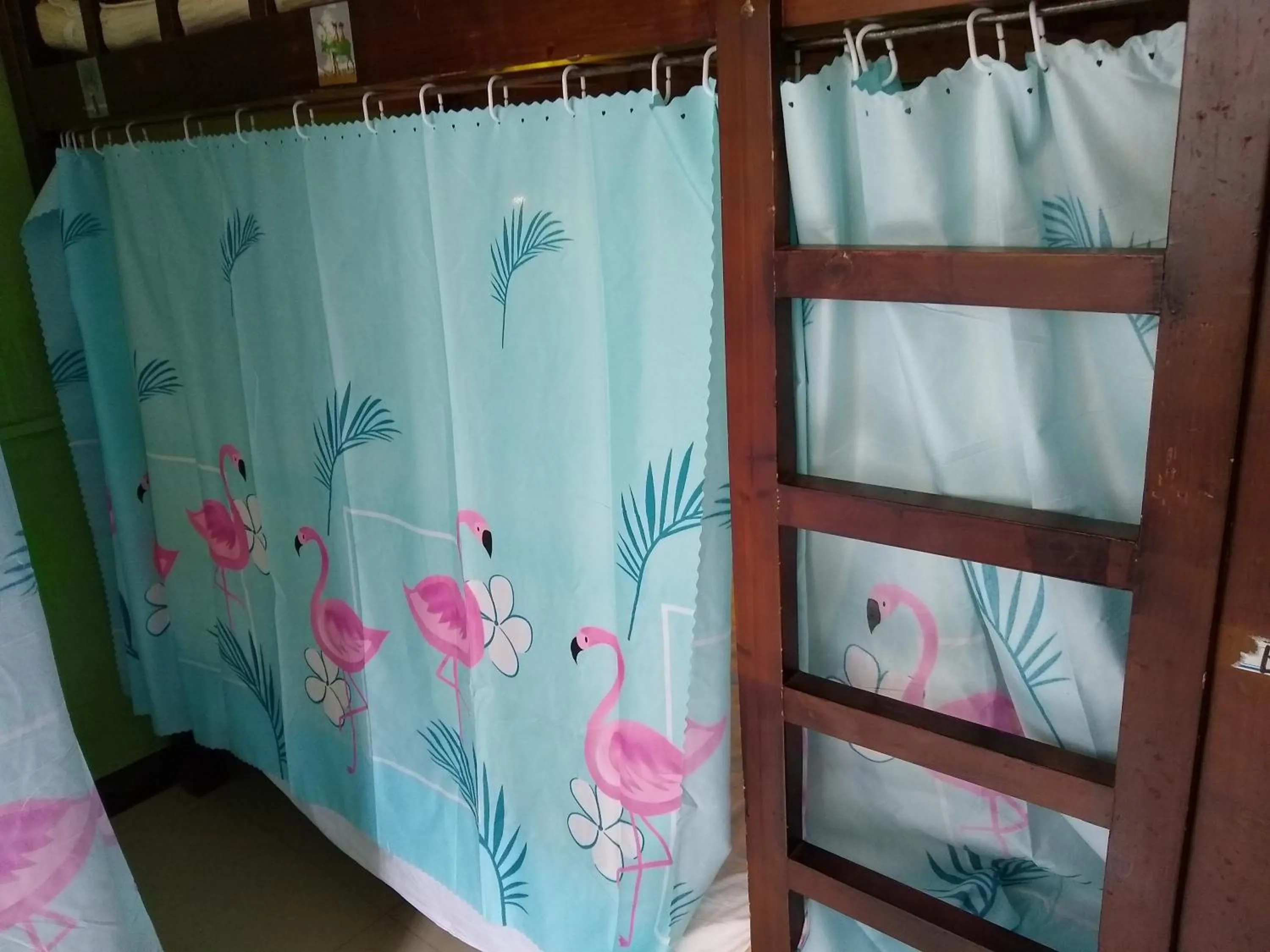 How Flowers Hostel & Party Coliving Coworking Nomad