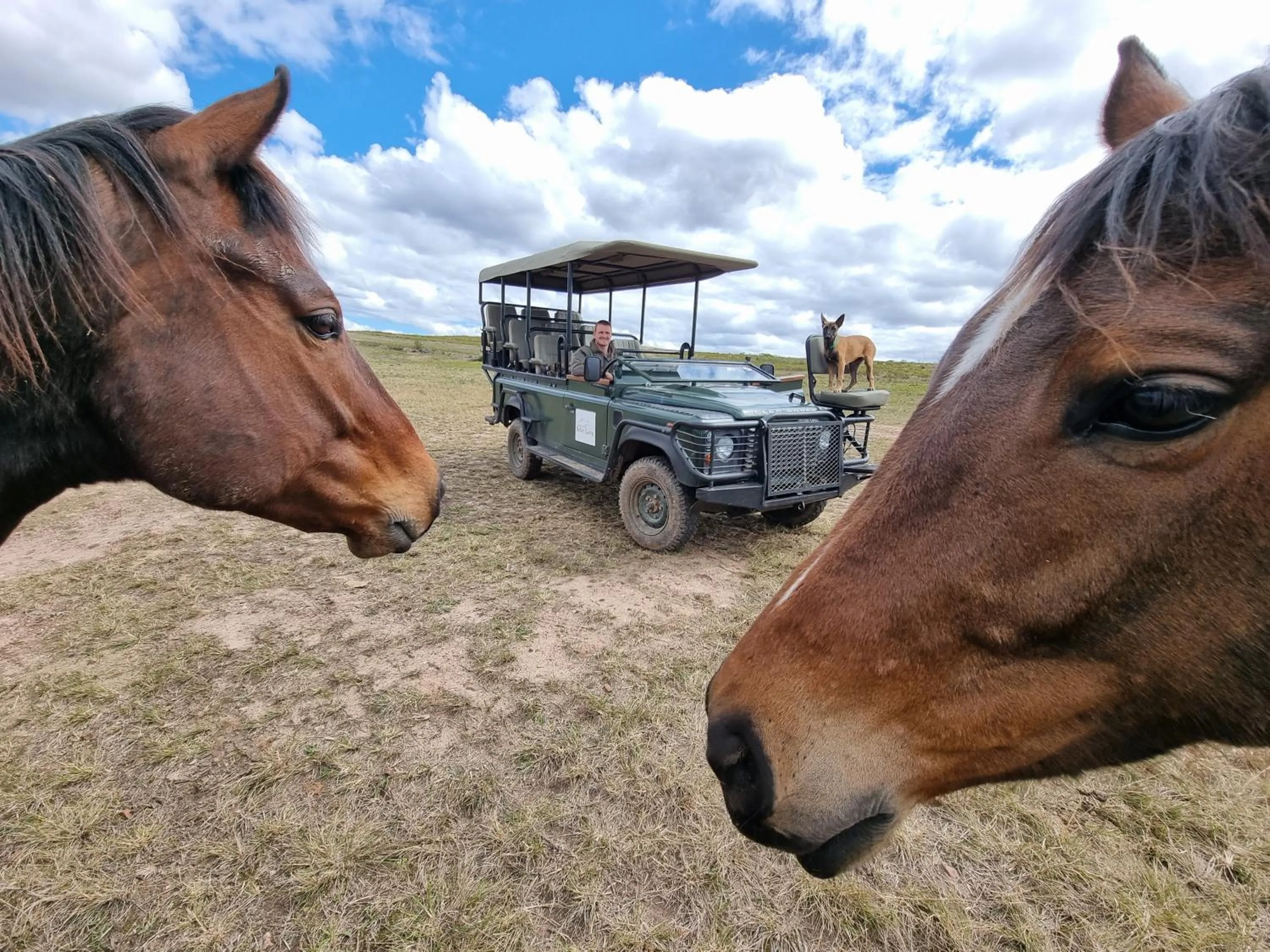 Day in Garden Route Safari Camp