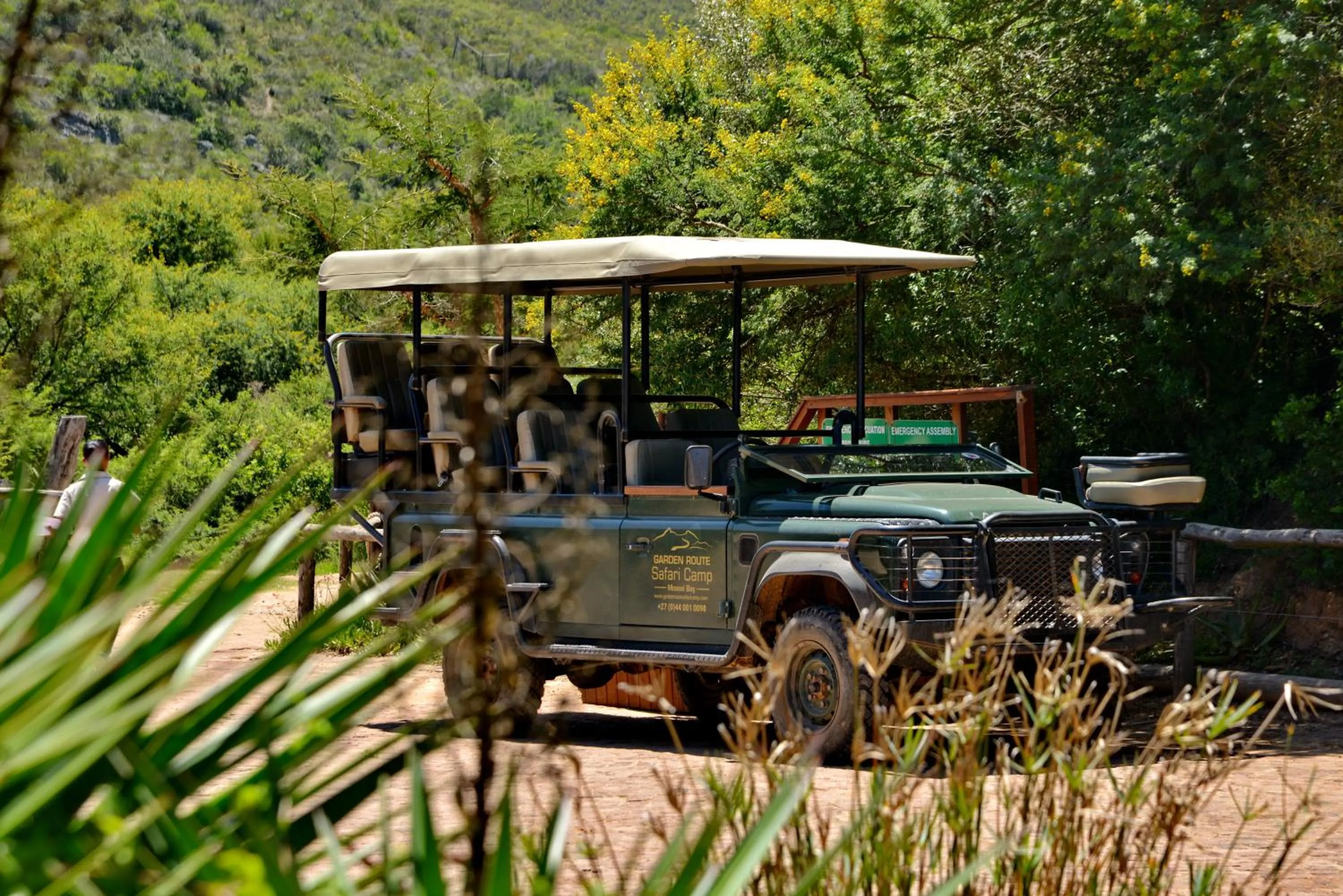 Day in Garden Route Safari Camp