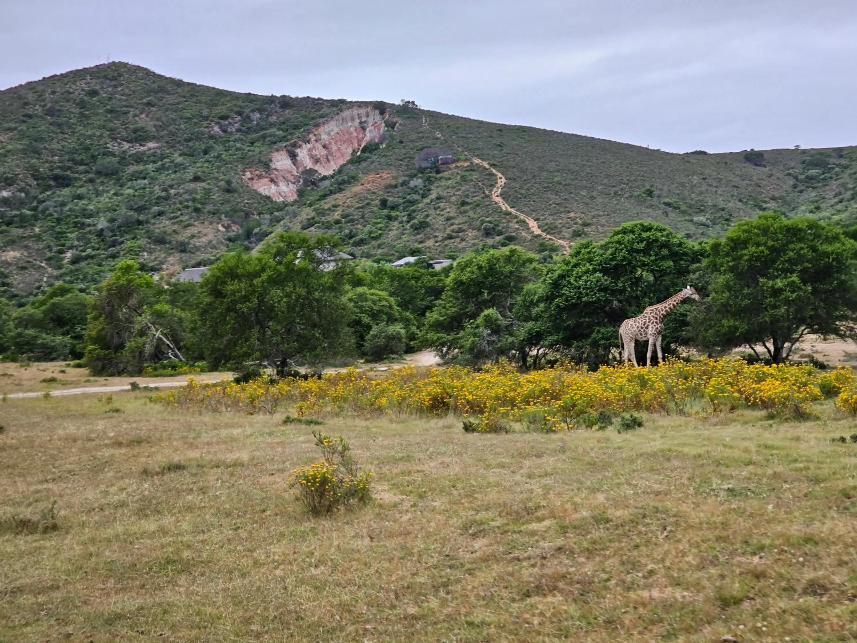 Nearby landmark in Garden Route Safari Camp