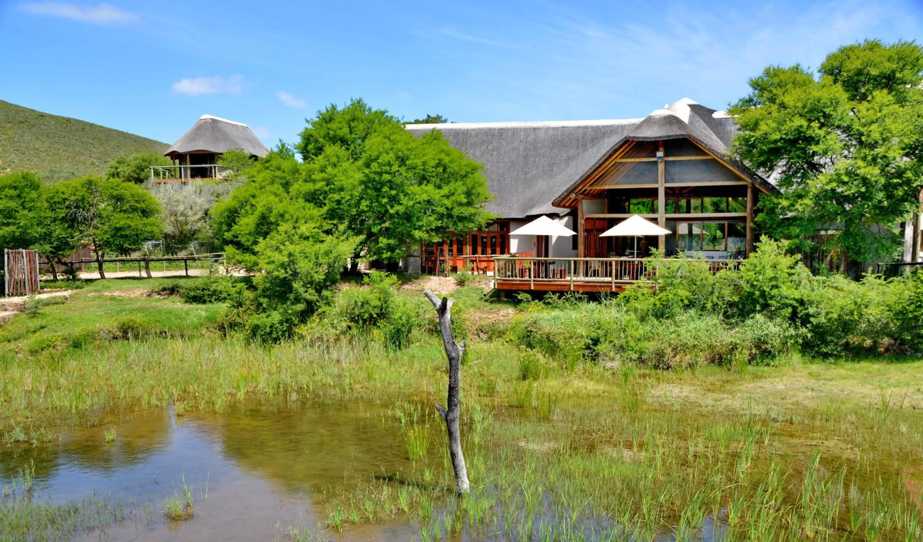Property building in Garden Route Safari Camp