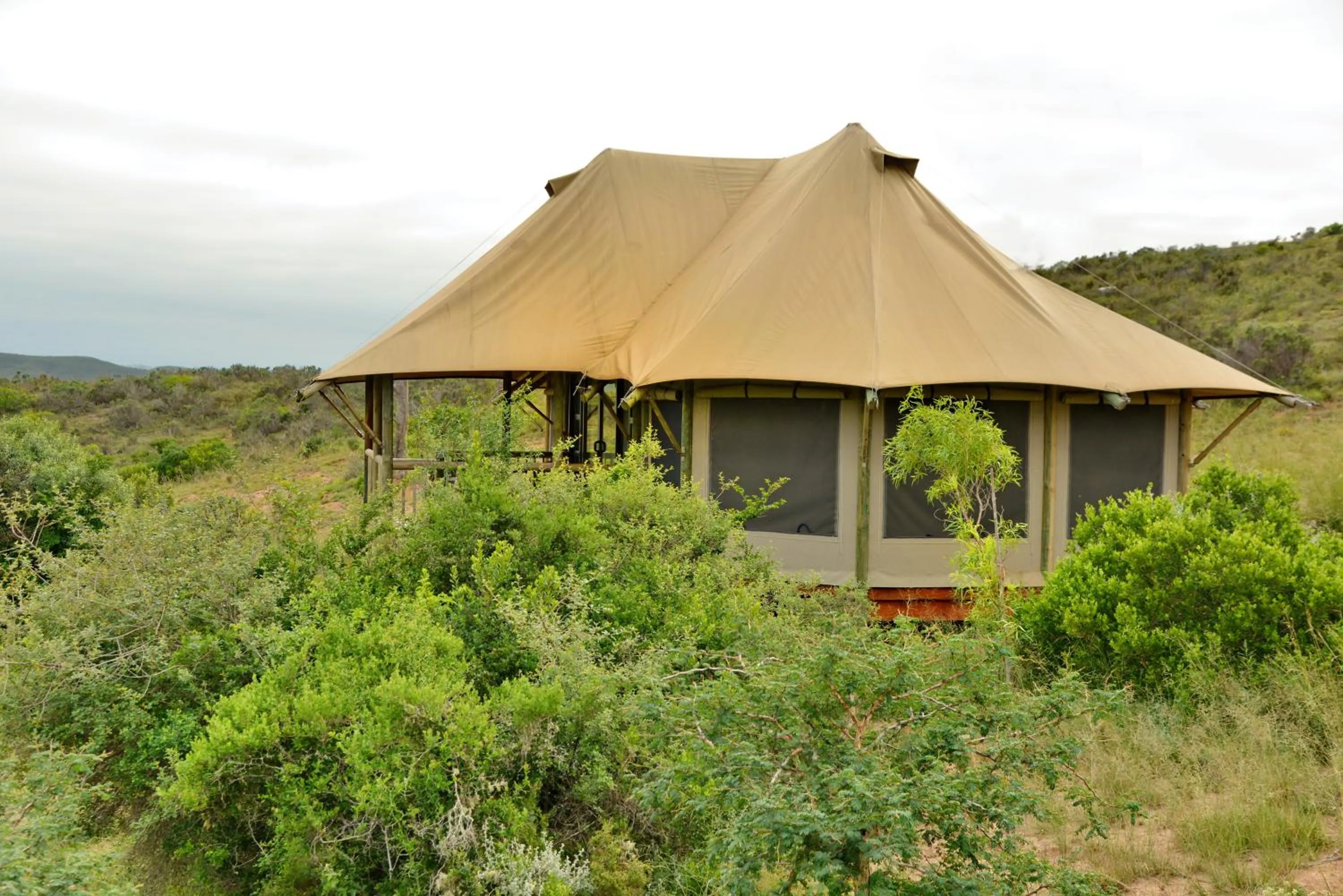 Garden Route Safari Camp