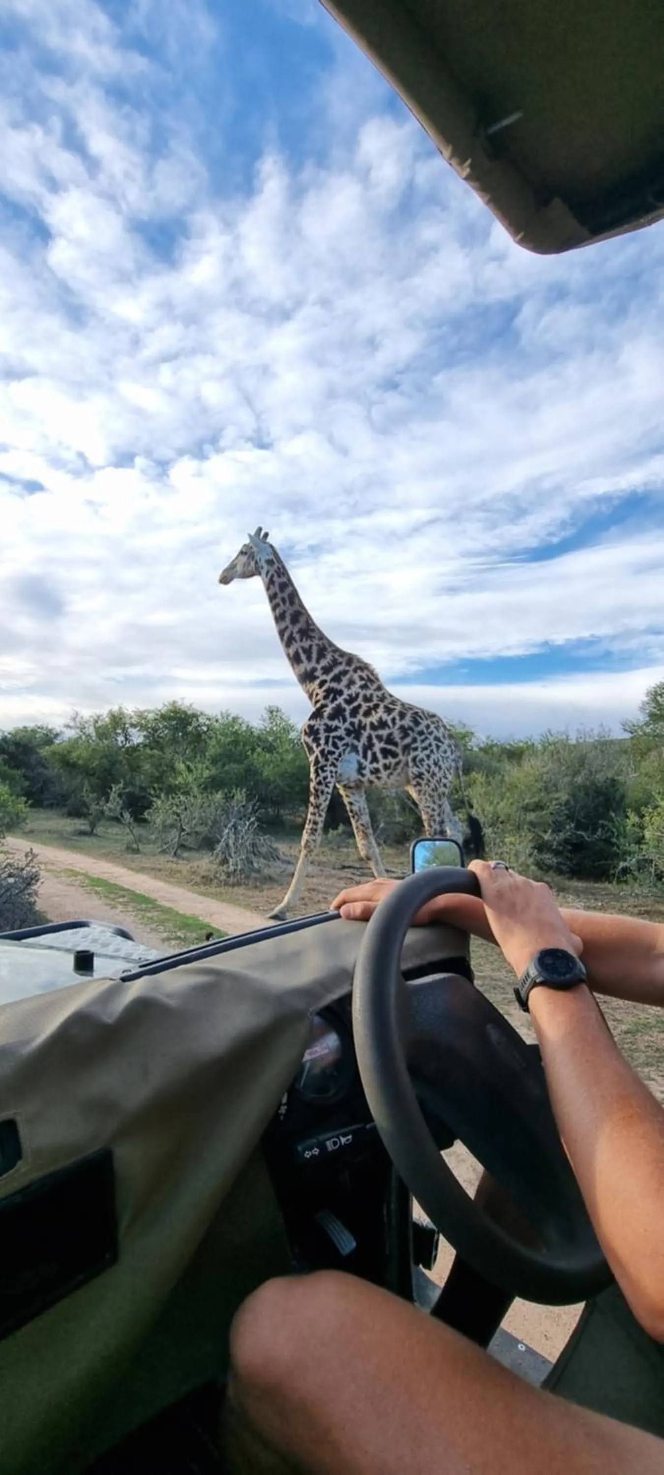 Day in Garden Route Safari Camp