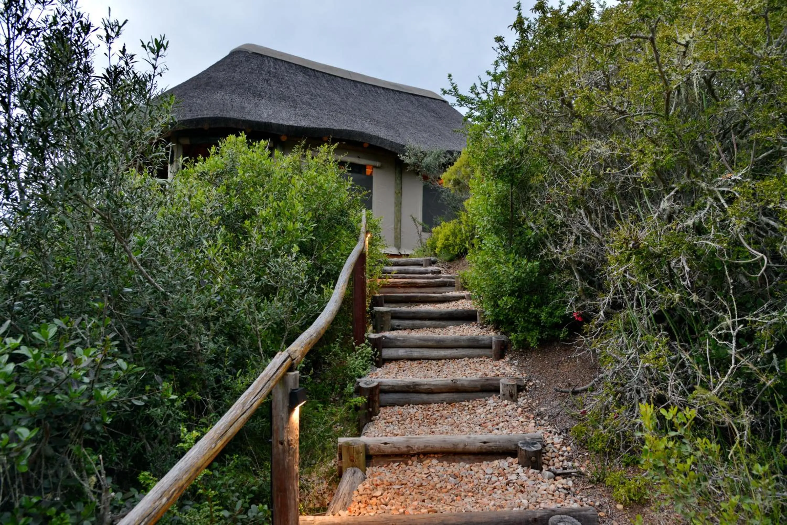 Property building in Garden Route Safari Camp