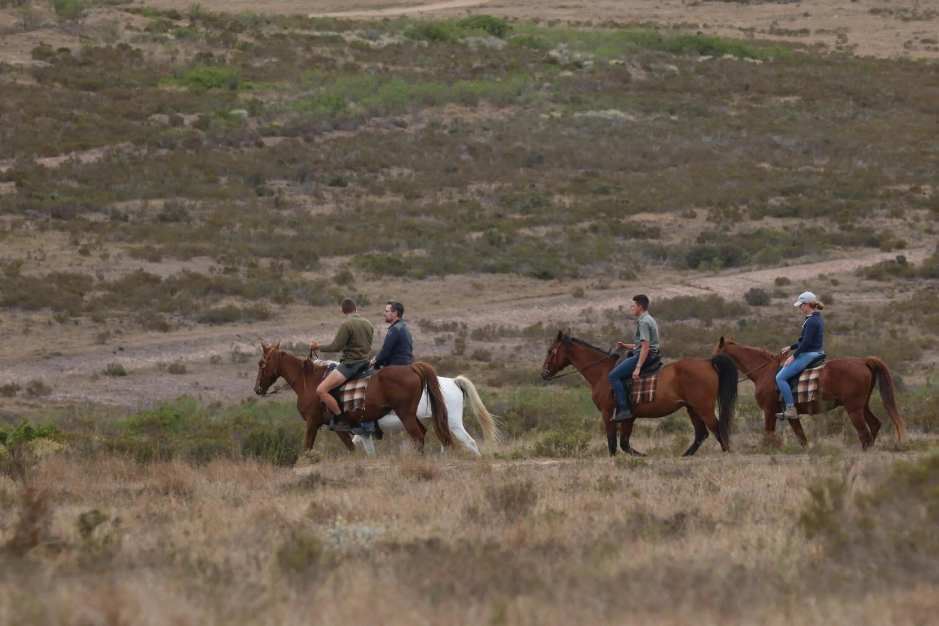 Horse-riding in Garden Route Safari Camp
