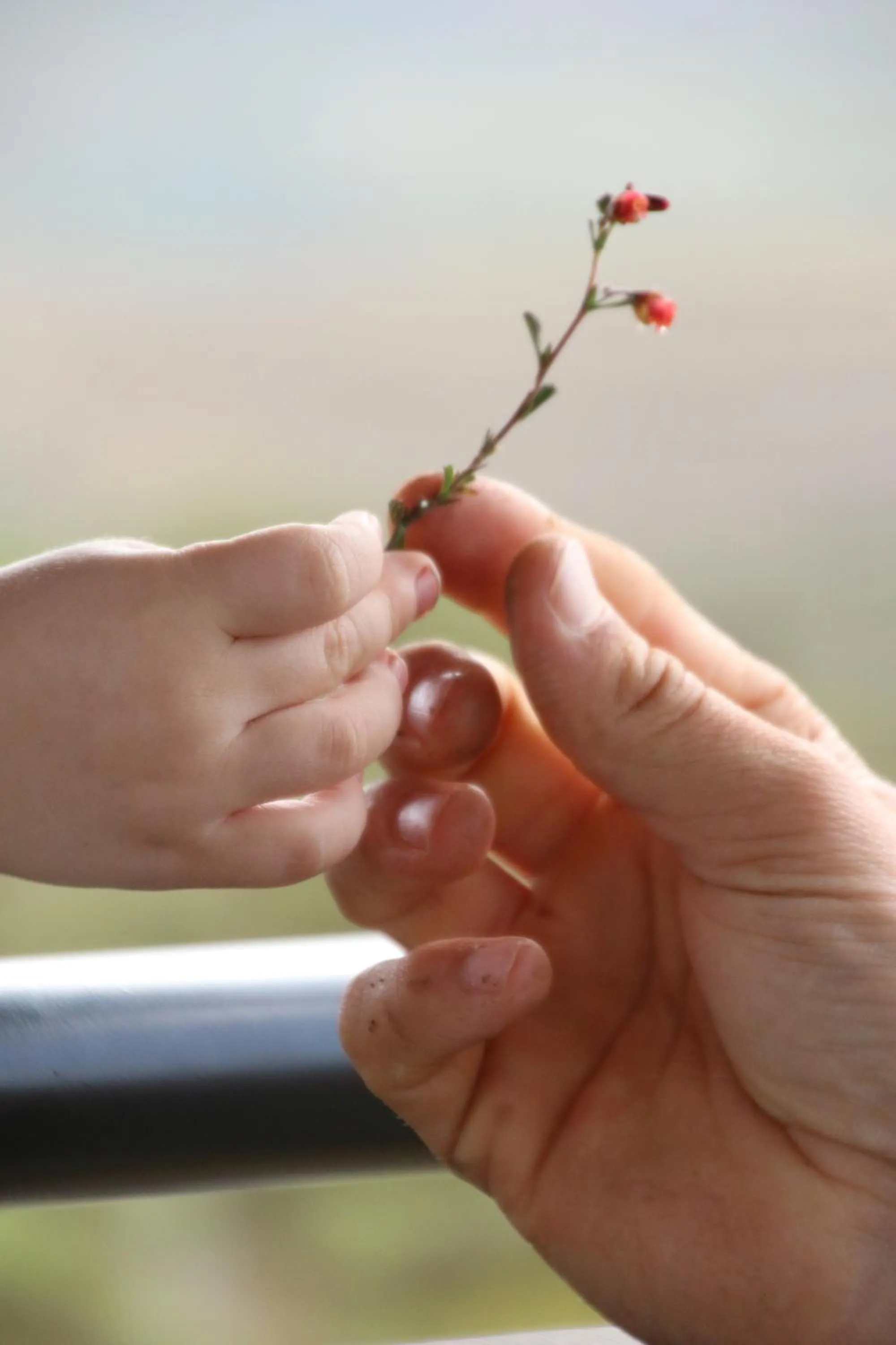 People in Garden Route Safari Camp