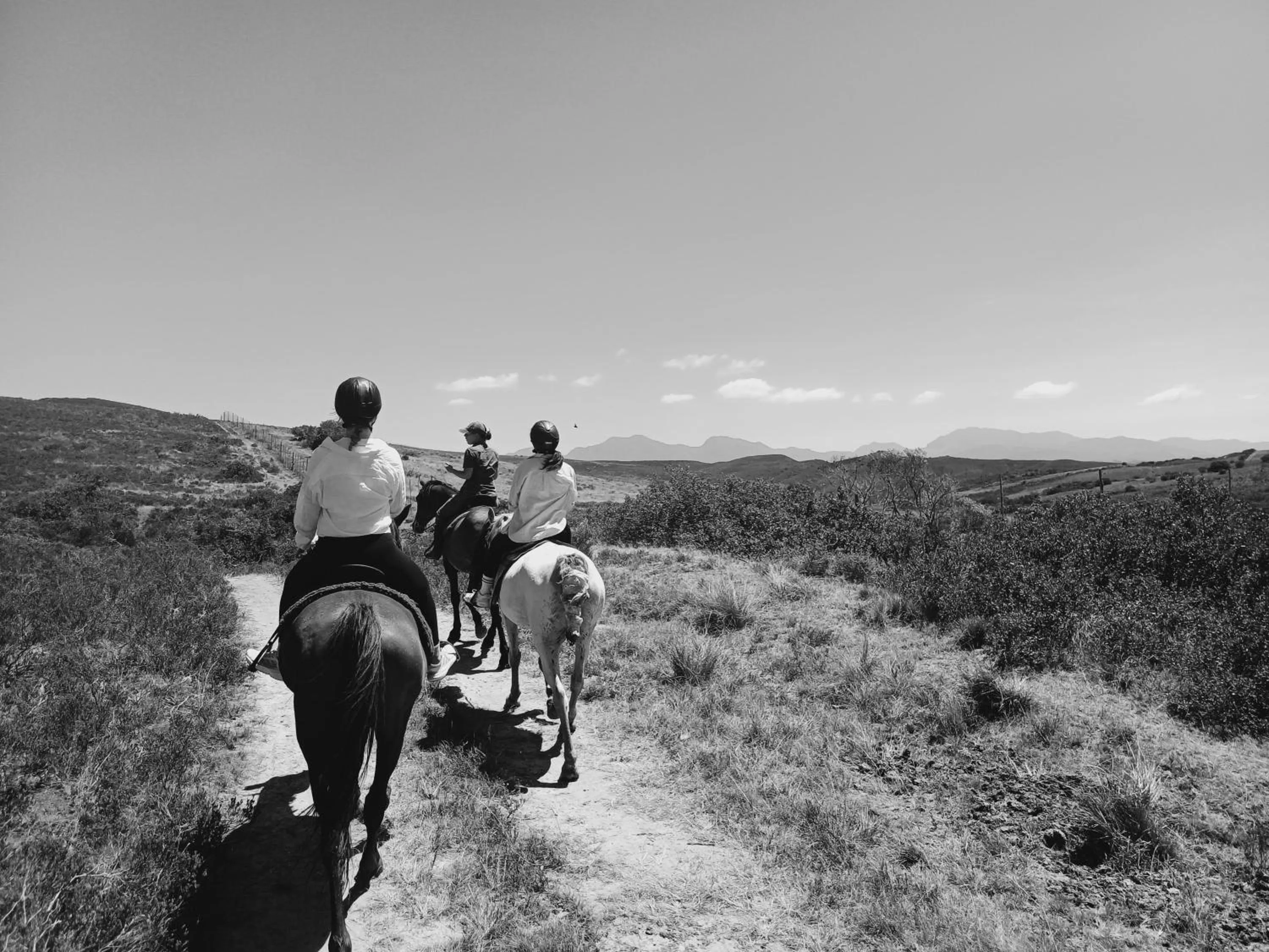 Garden Route Safari Camp