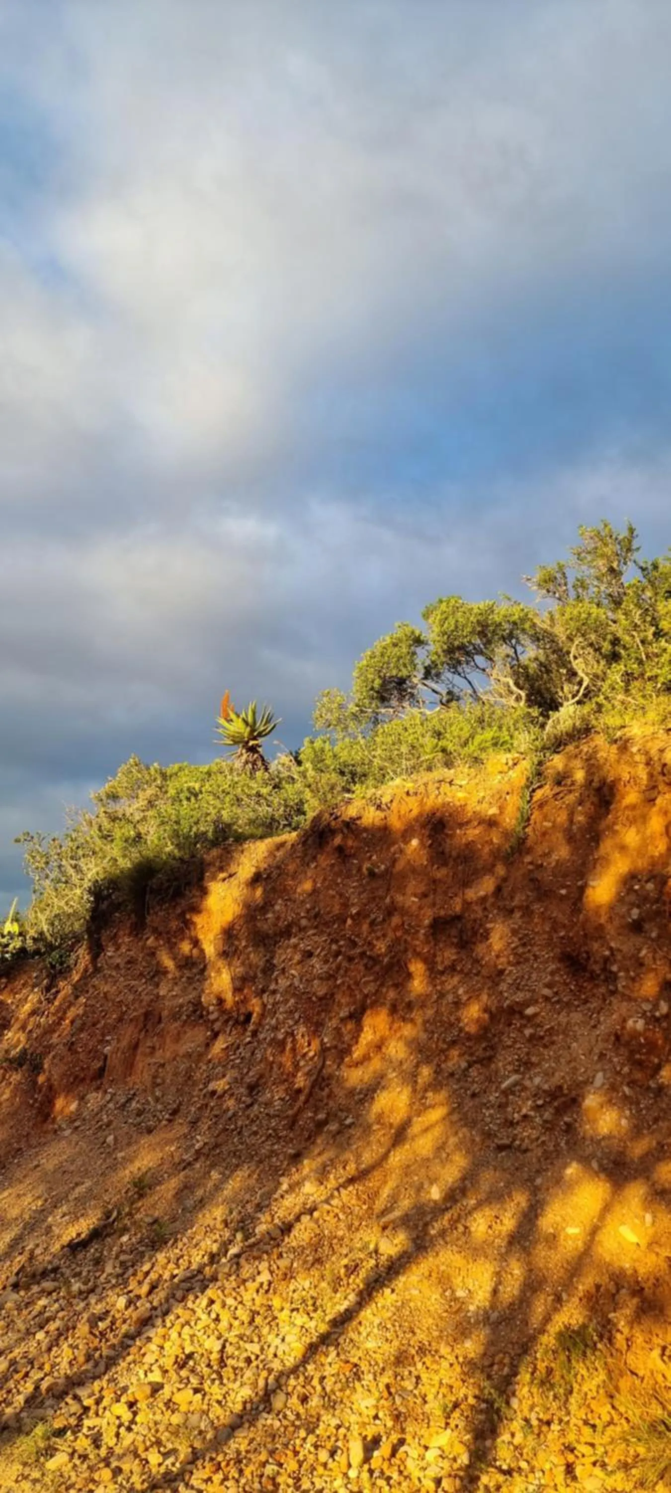 Garden Route Safari Camp