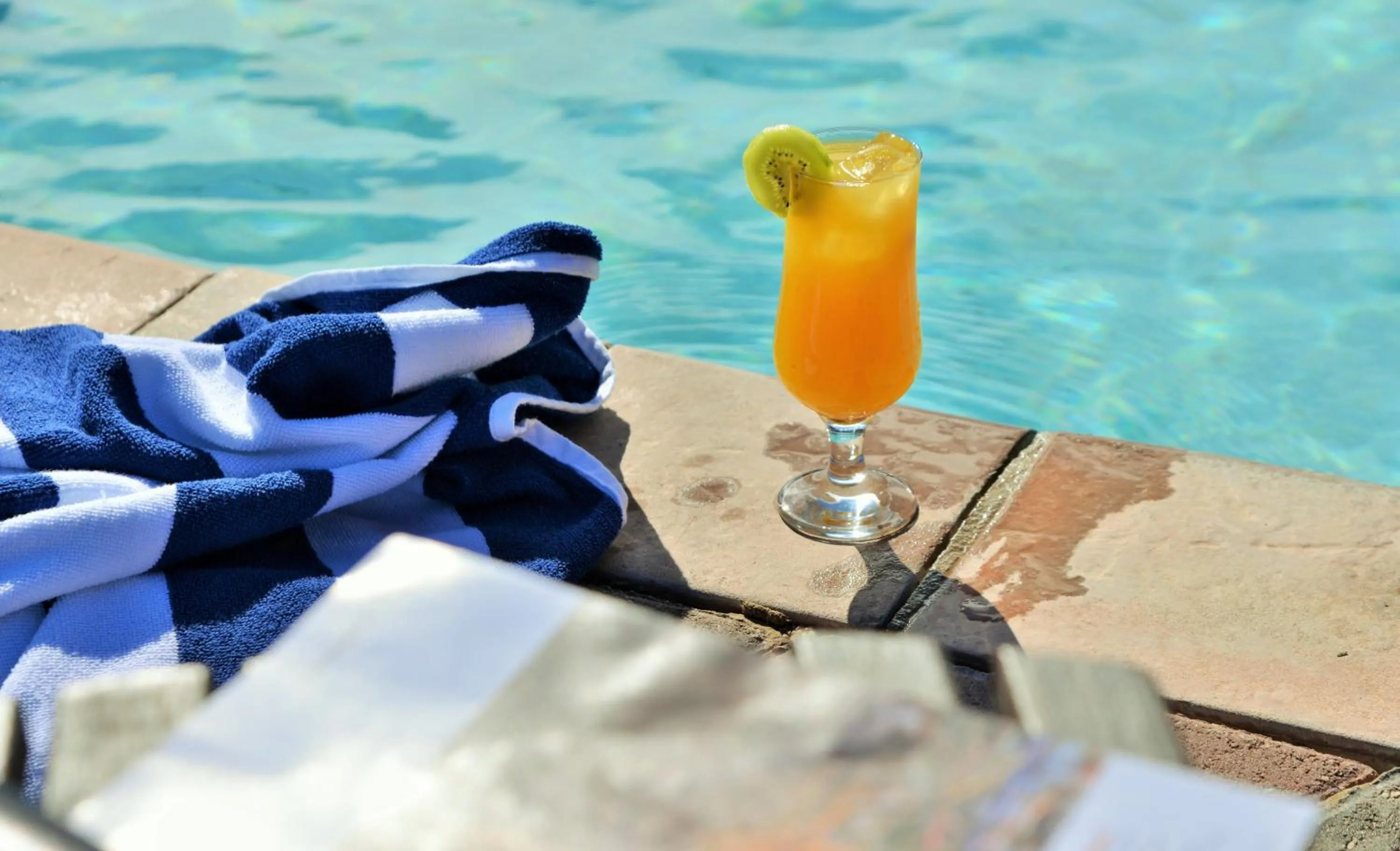 Day in Garden Route Safari Camp