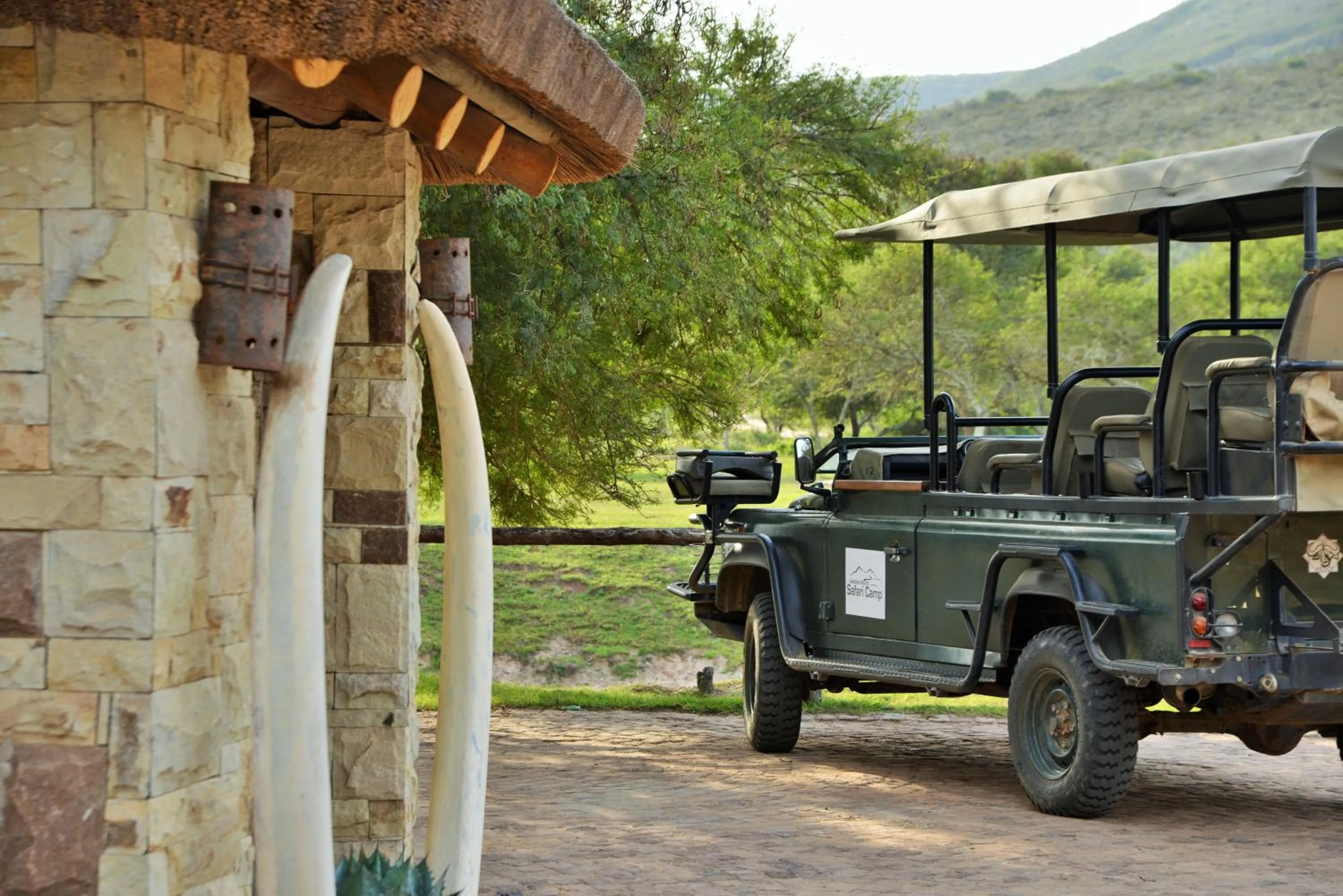 Activities in Garden Route Safari Camp