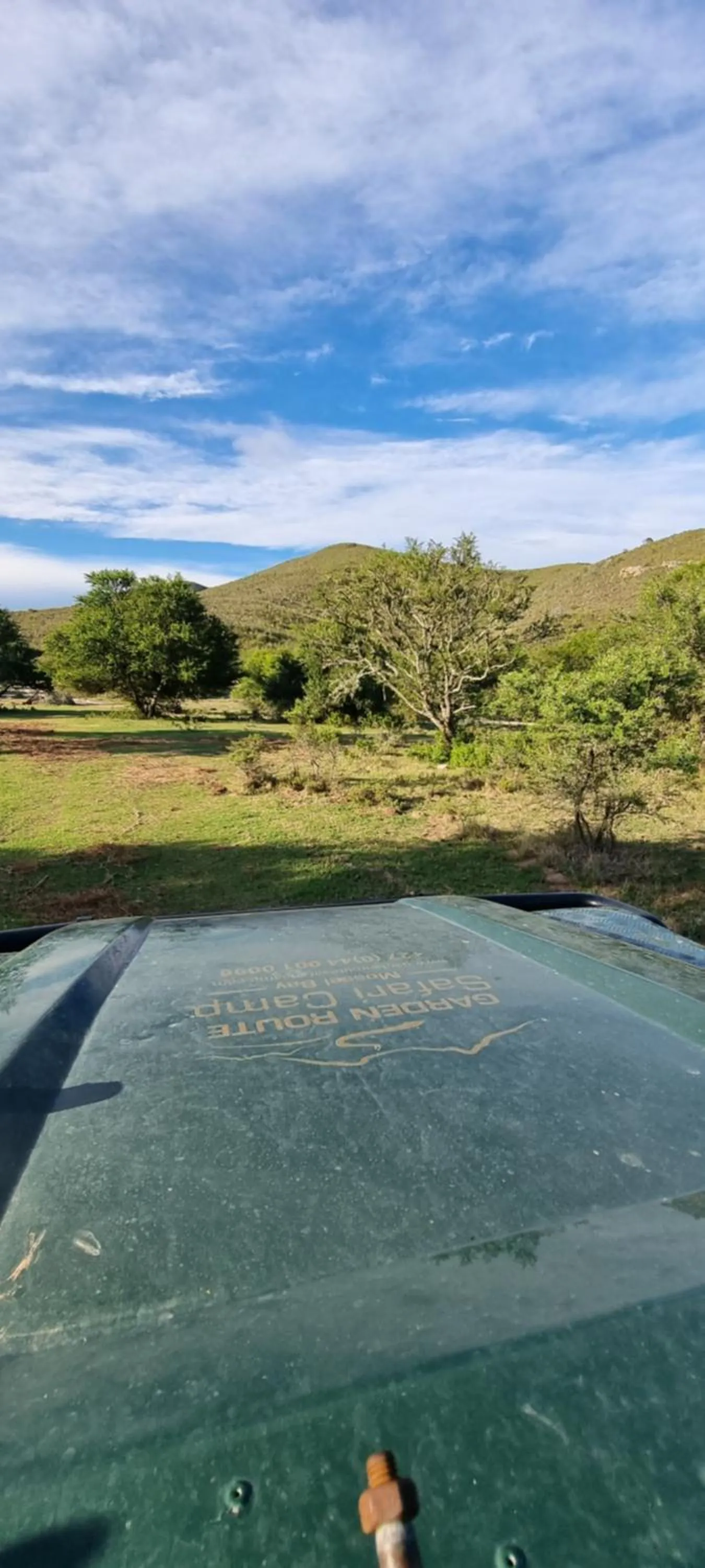 Day in Garden Route Safari Camp