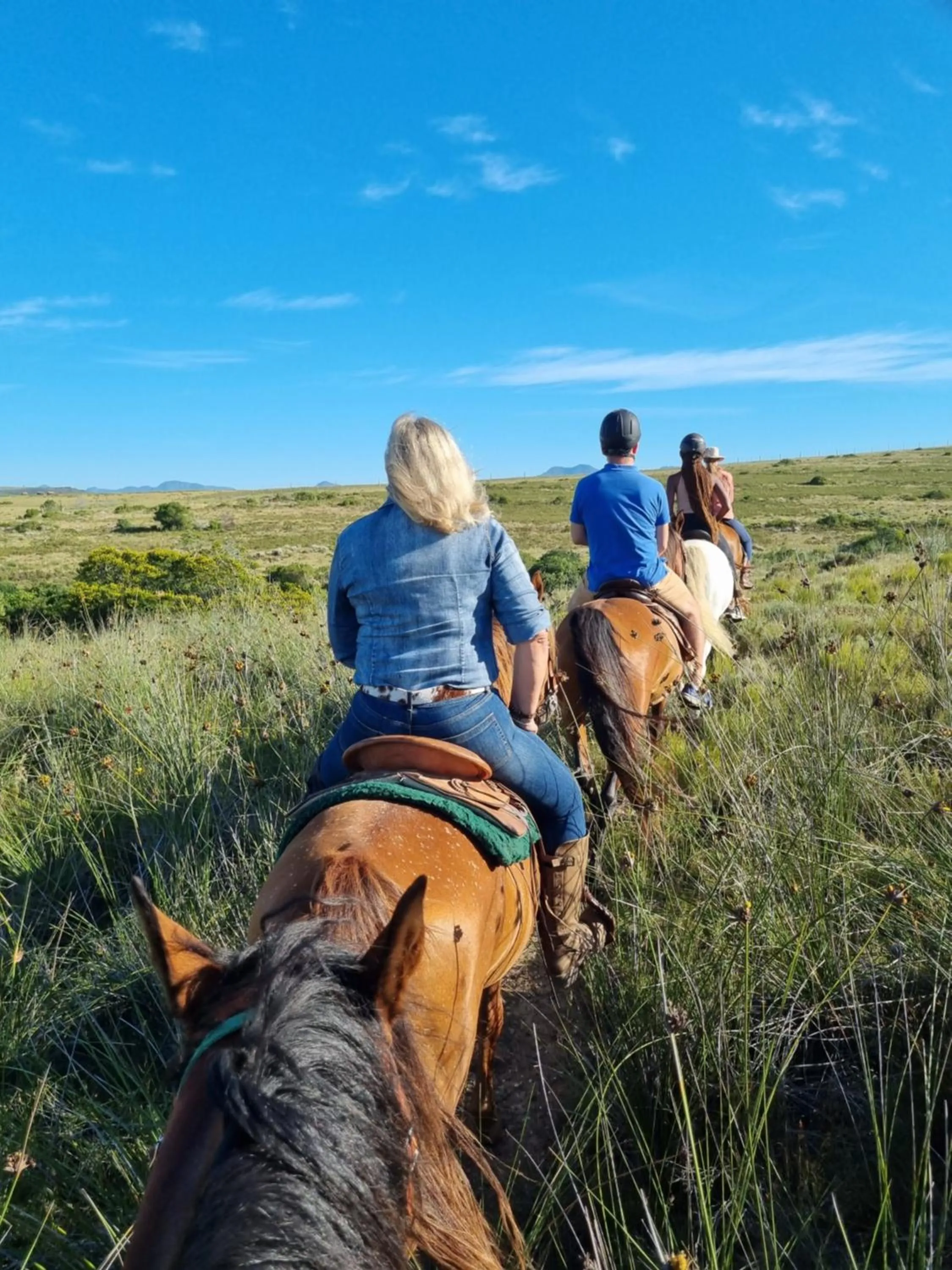 Day in Garden Route Safari Camp