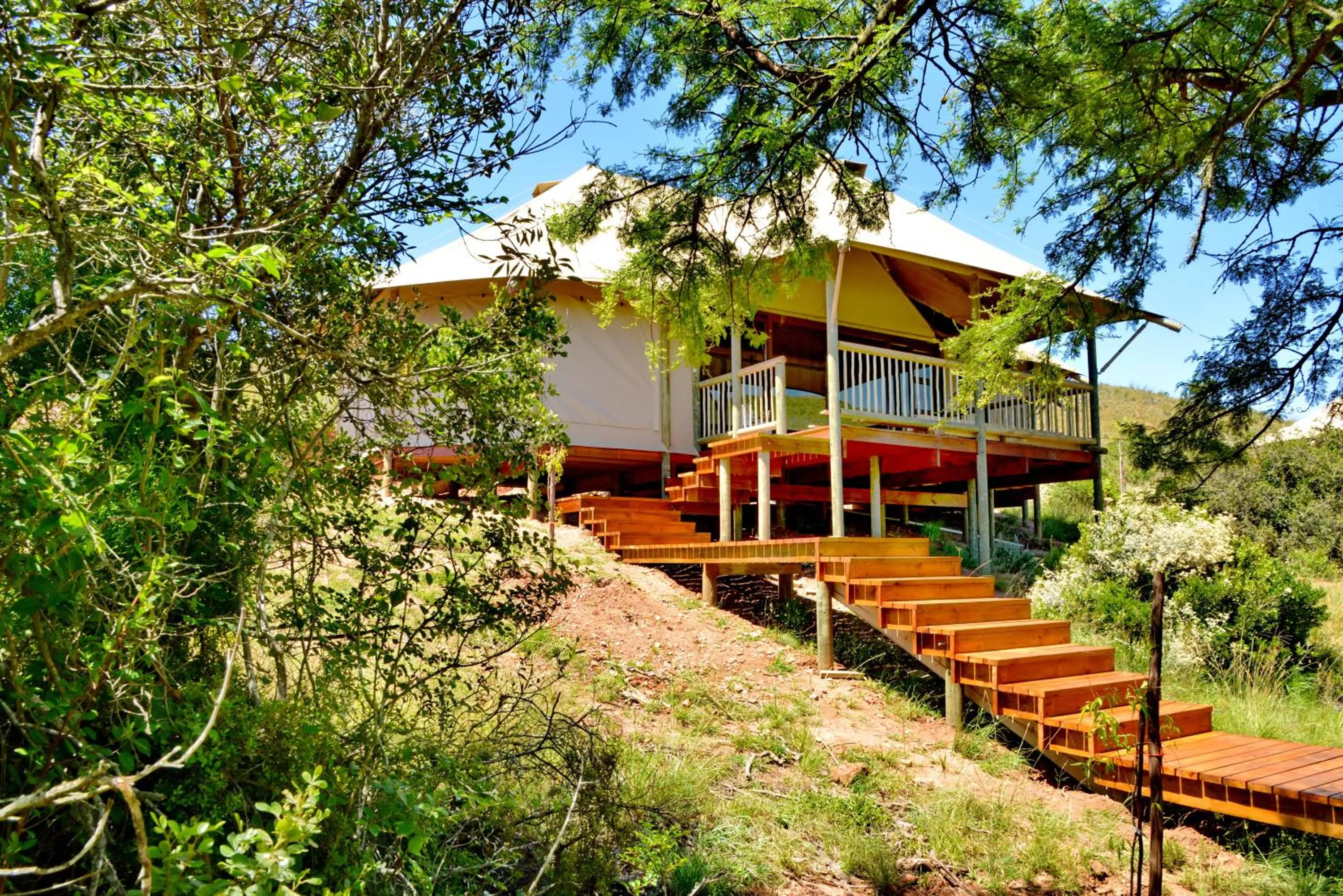 Property building in Garden Route Safari Camp