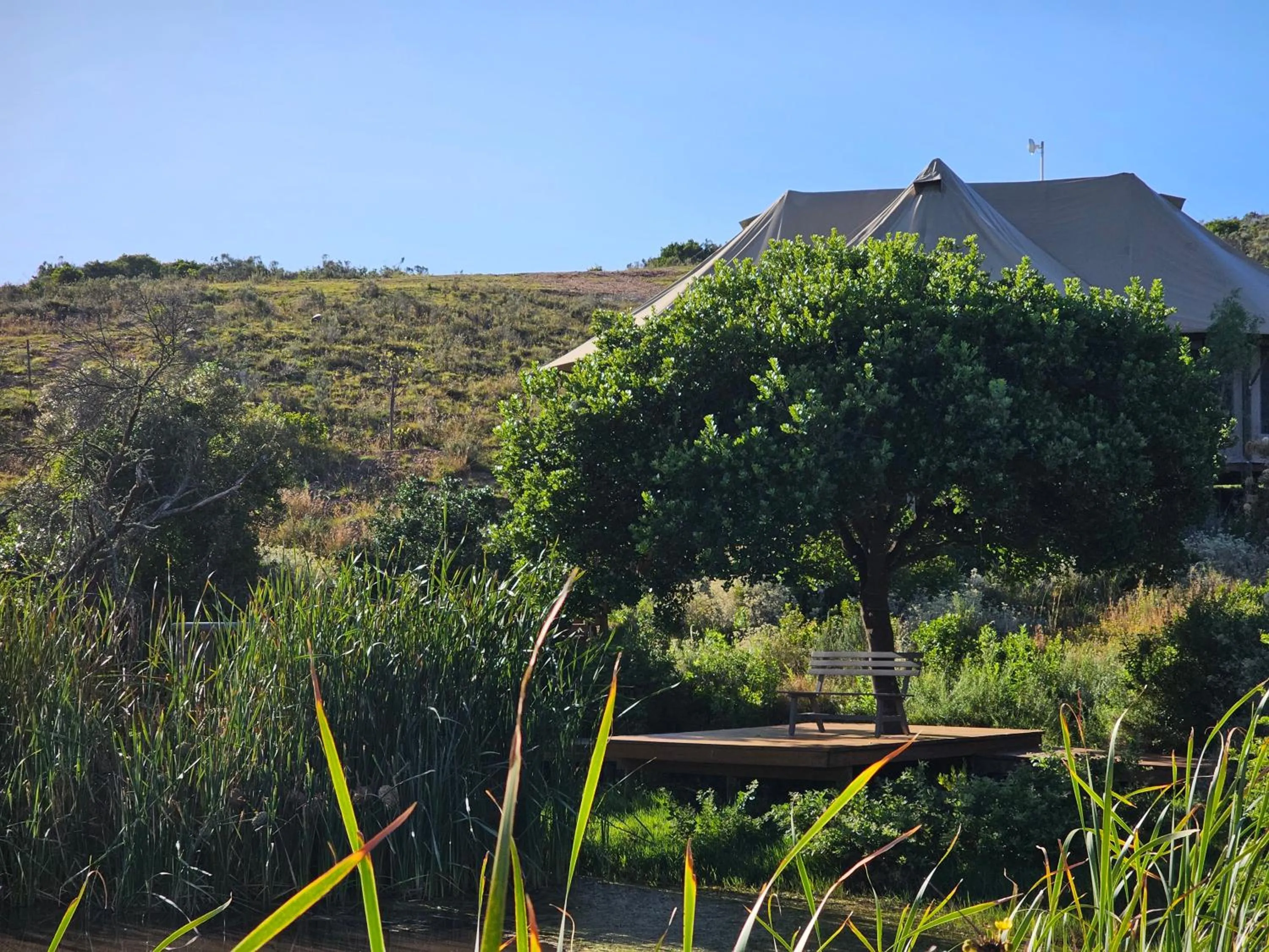 Garden Route Safari Camp