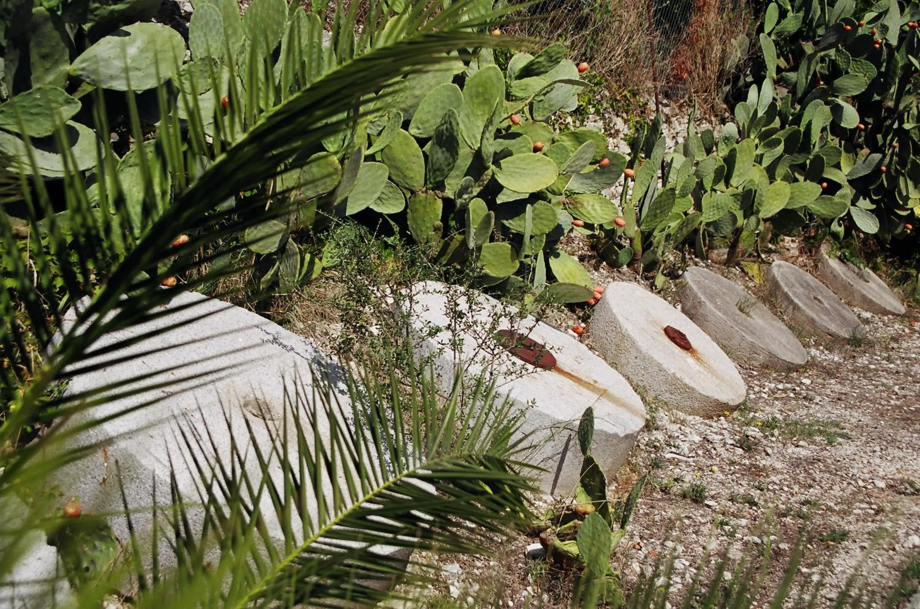 Decorative detail in Tenuta Molino di Mare- Ecoresort