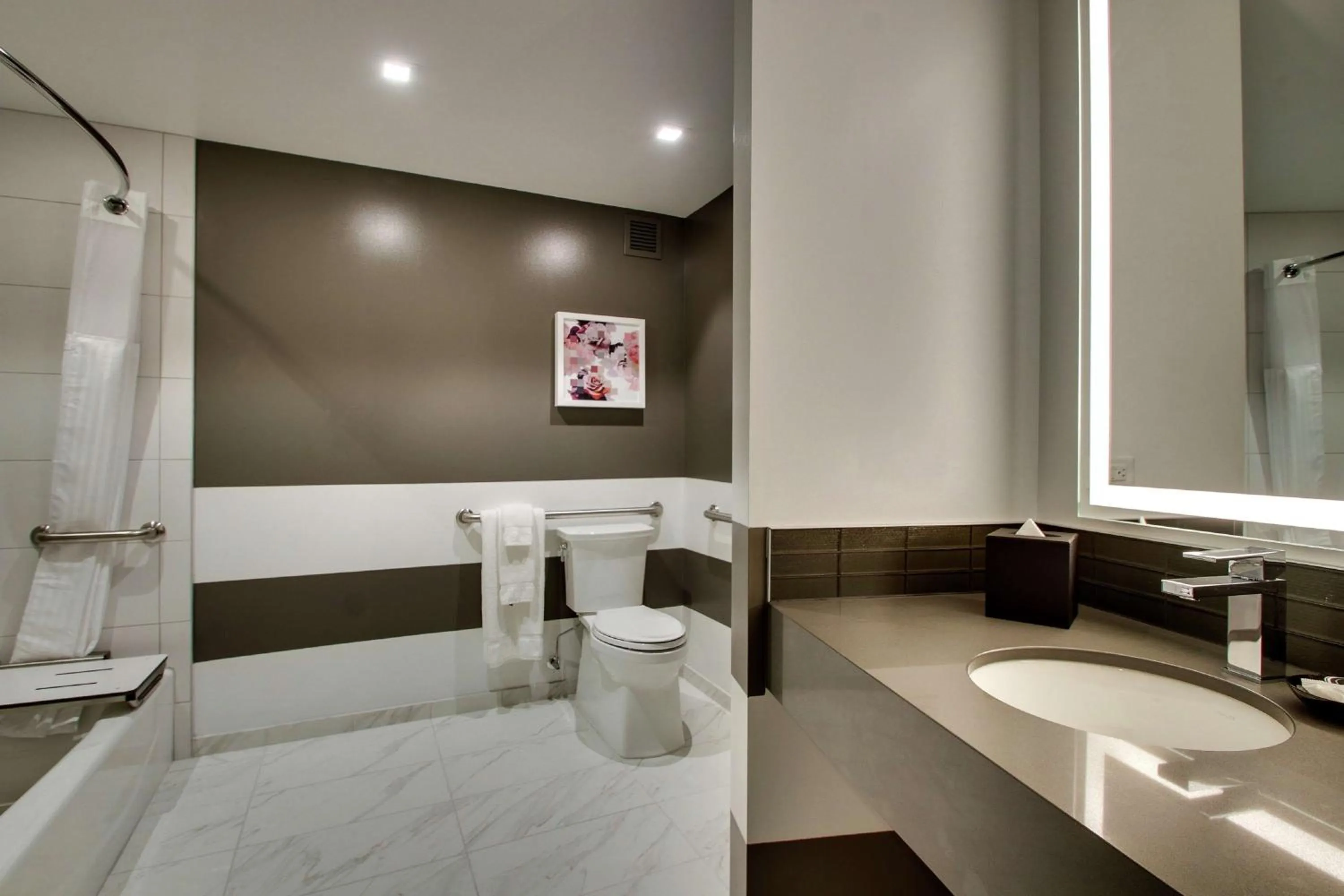 Bathroom in The Rose Chicago, Tapestry Collection By Hilton