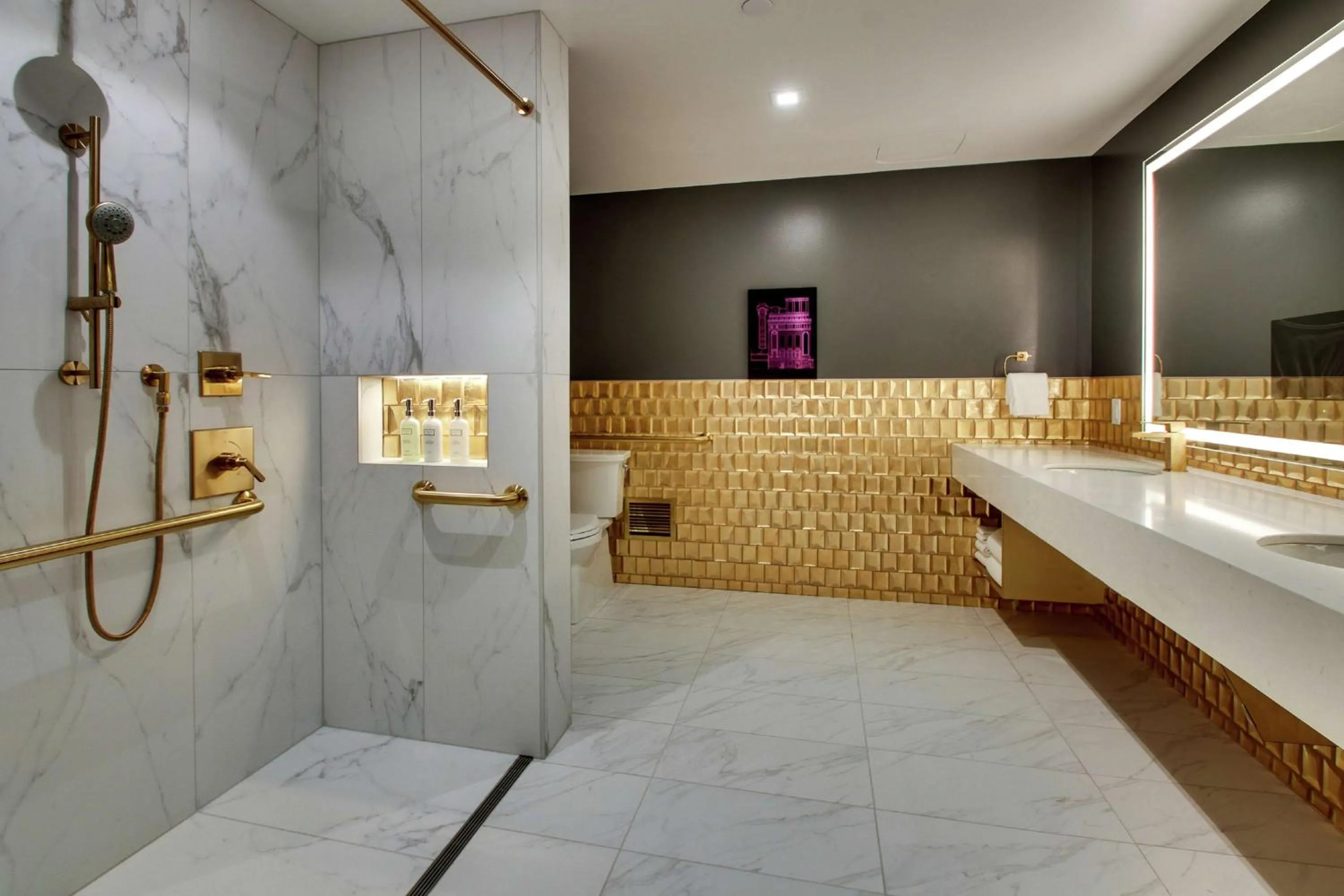 Shower in The Rose Chicago, Tapestry Collection By Hilton