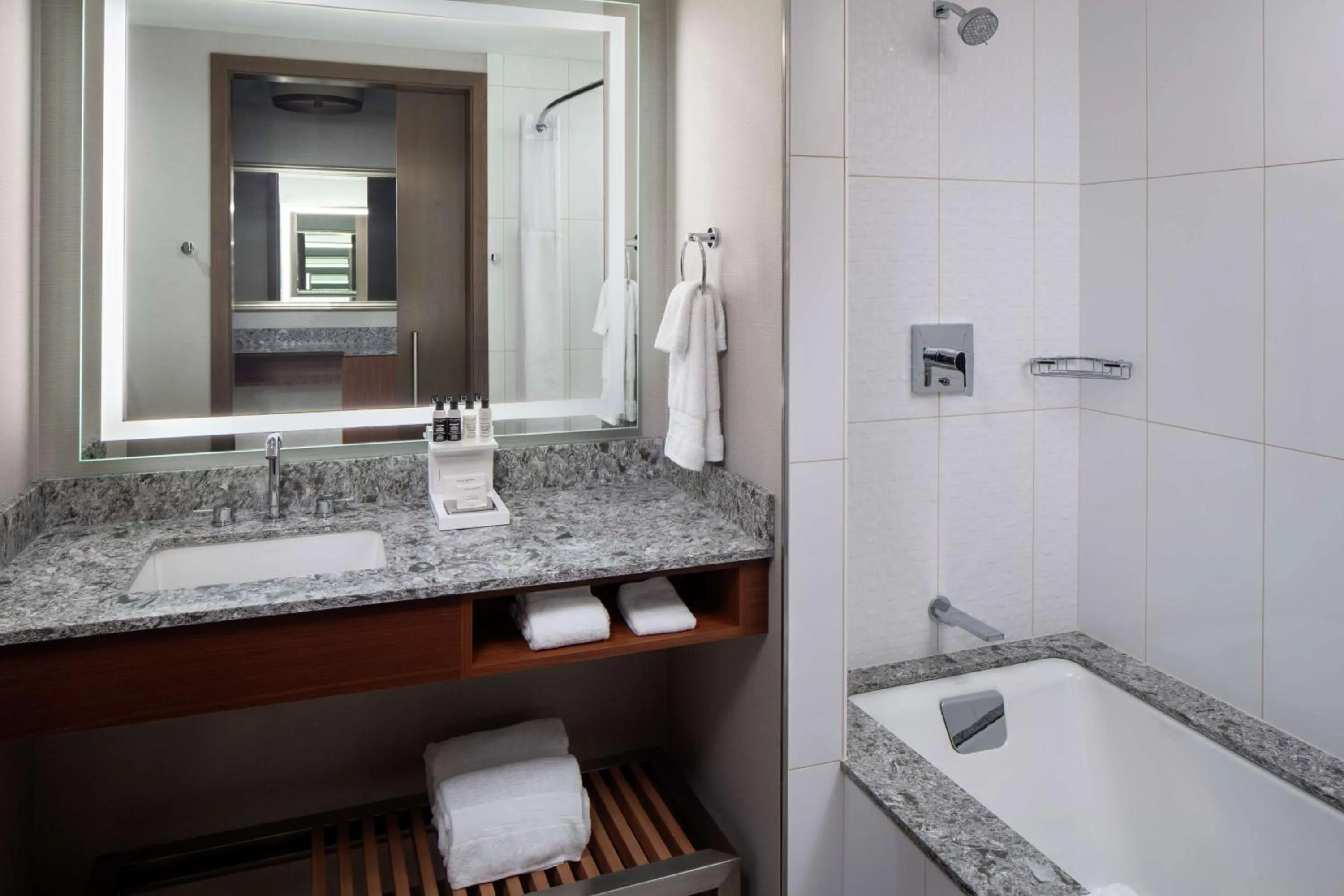 Bathroom in Hilton Rochester Mayo Clinic Area