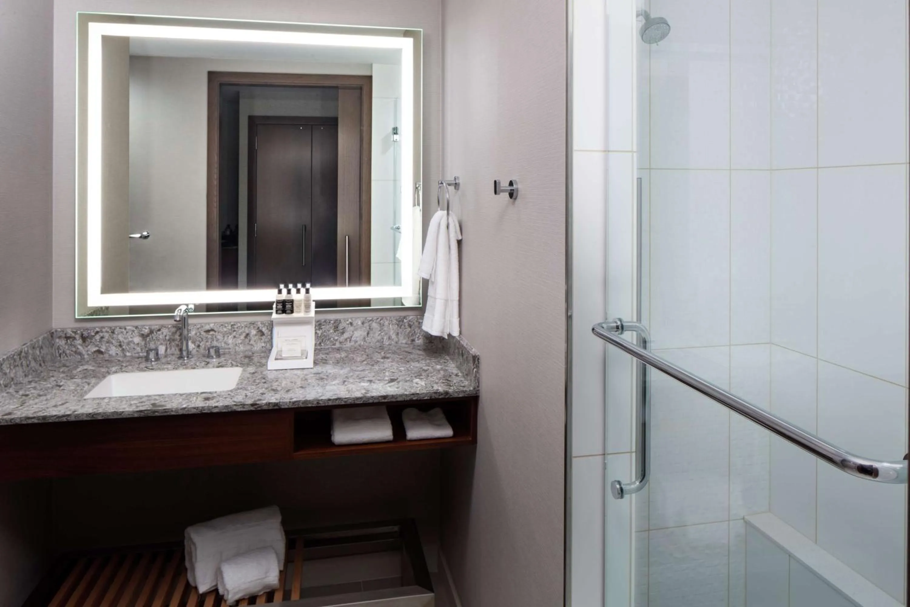 Bathroom in Hilton Rochester Mayo Clinic Area