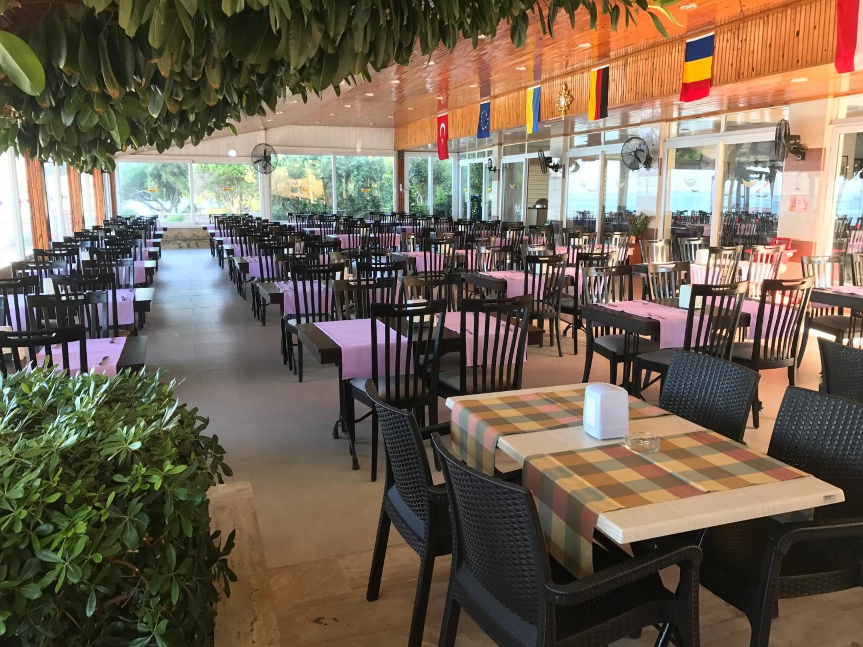 Restaurant/places to eat in Muz Hotel