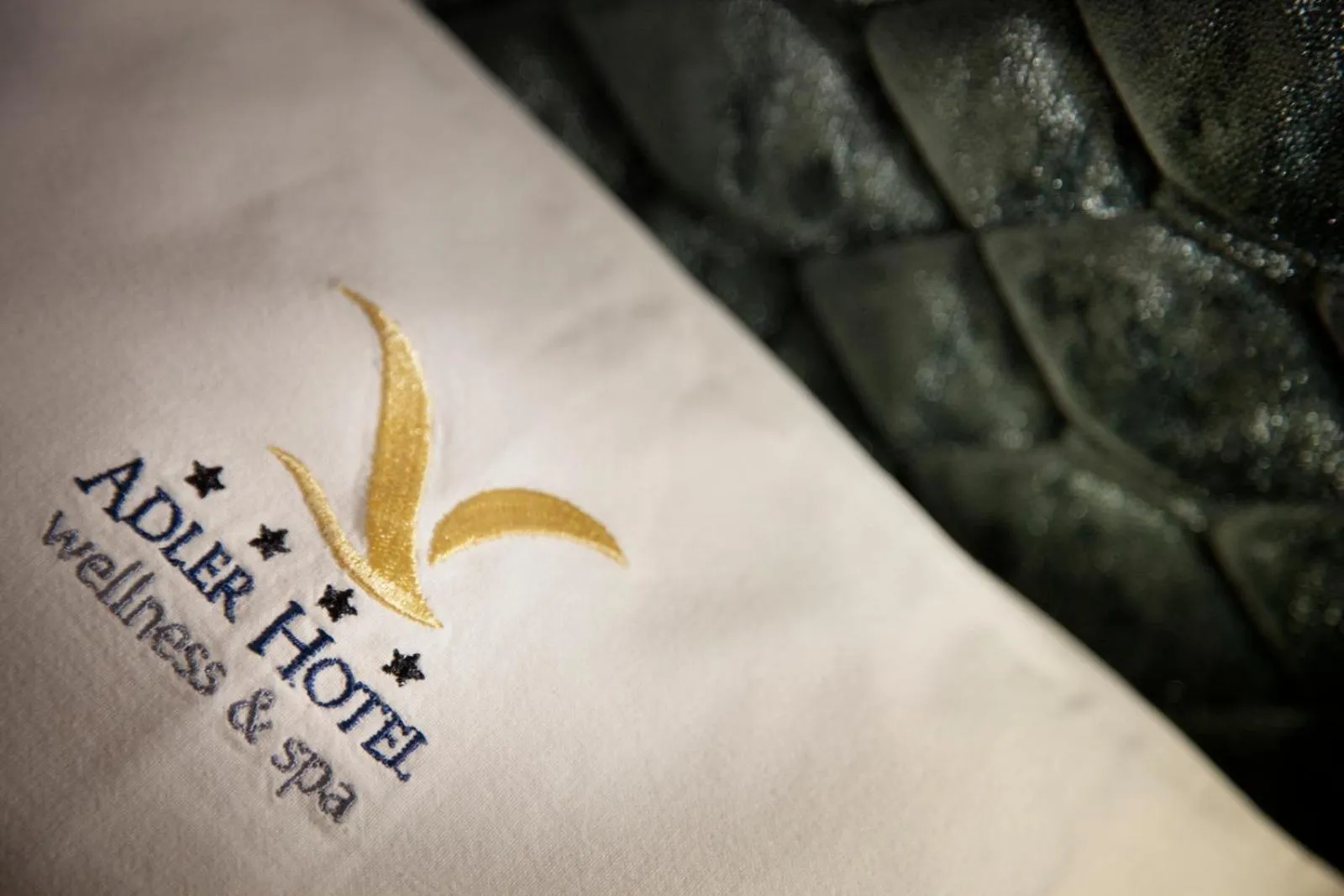 Decorative detail in ADLER MERYEM wellness hotel - Andalo