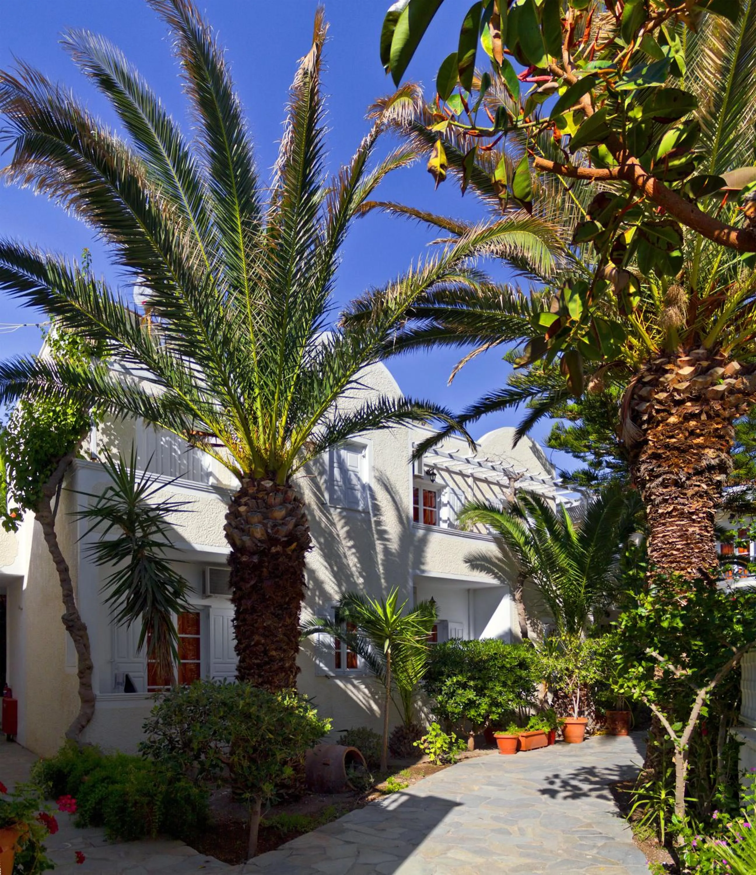 Property building in Dolphins Apartments