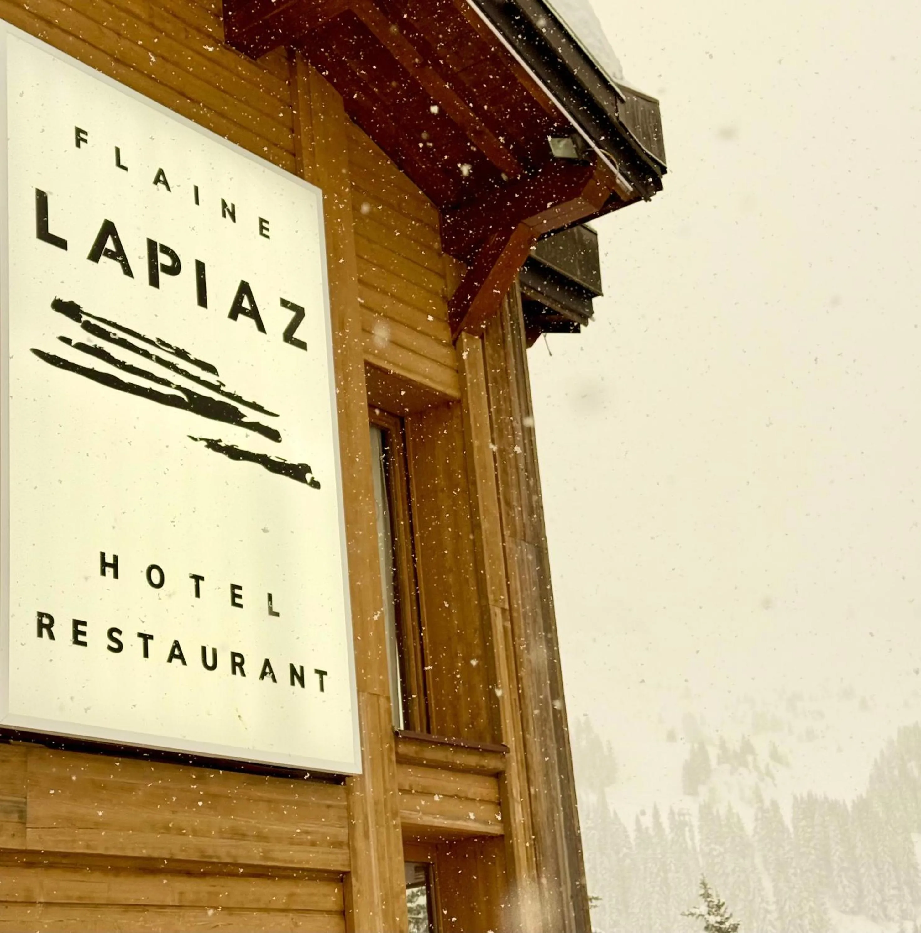 Property logo or sign in Hôtel LAPIAZ & Spa - FLAINE