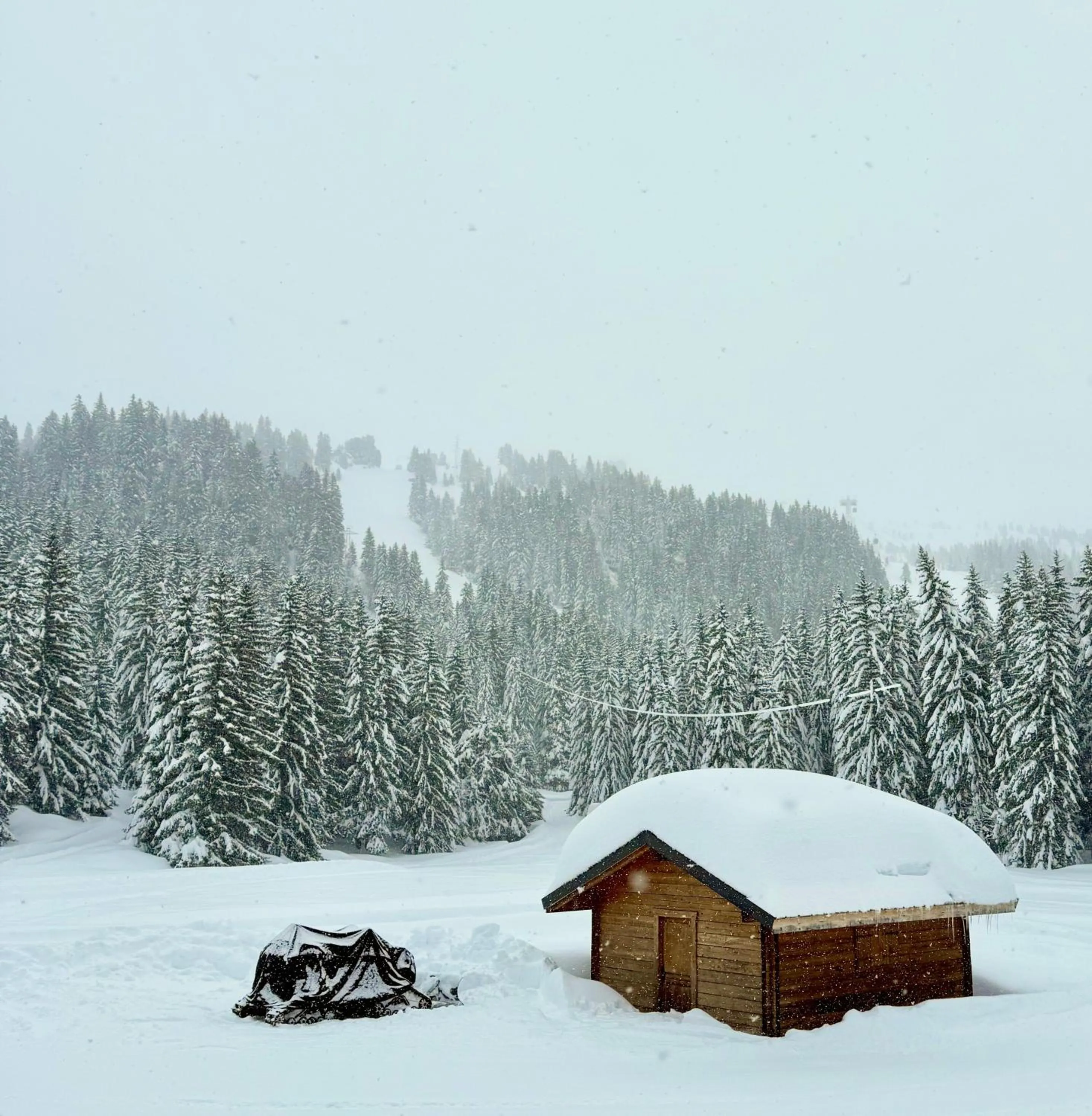 Day in Hôtel LAPIAZ & Spa - FLAINE