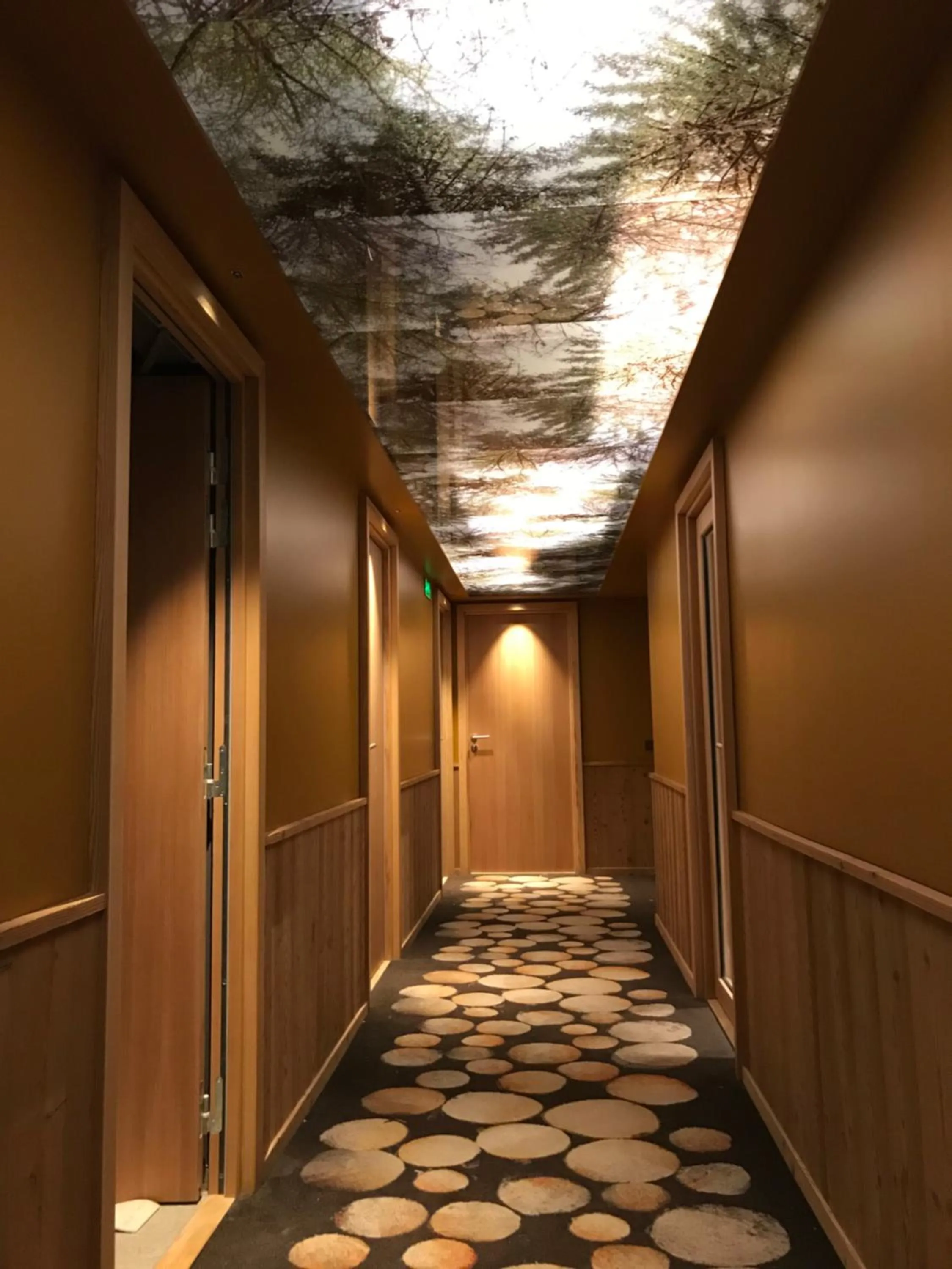 Hôtel LAPIAZ & Spa - FLAINE