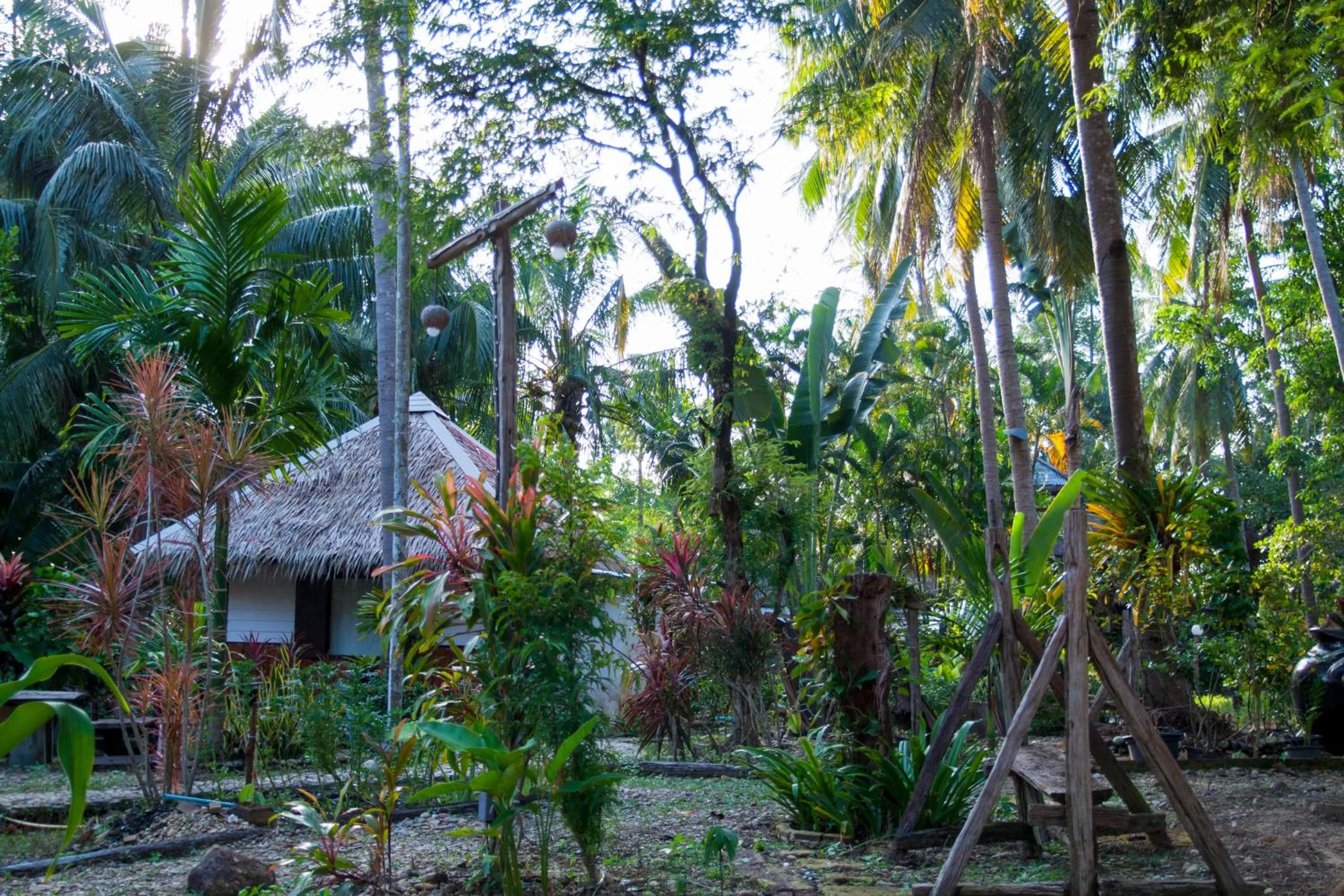 Property building in Ban_na